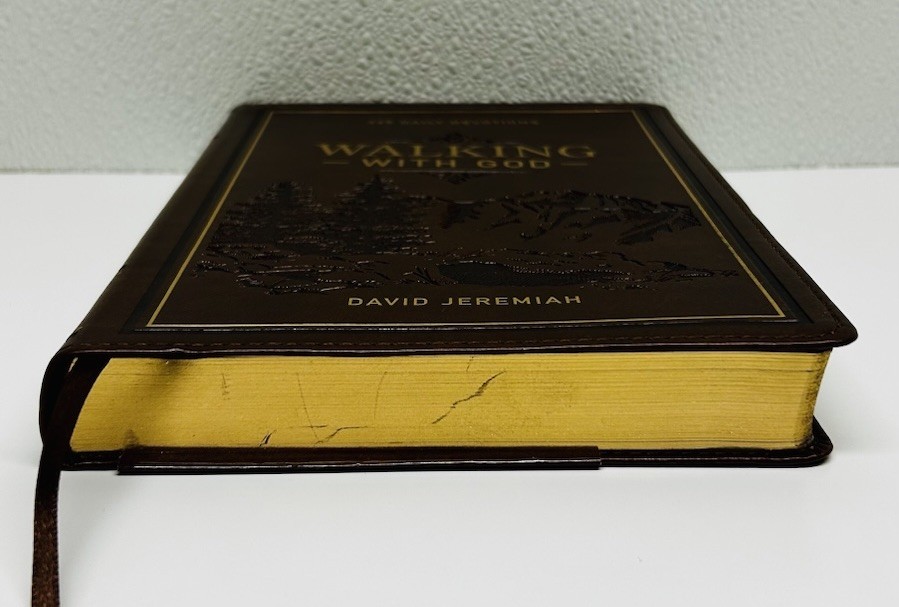 Brown WALKING WITH GOD Book Feax Leather 365 Daily Devotions David Jeremiah