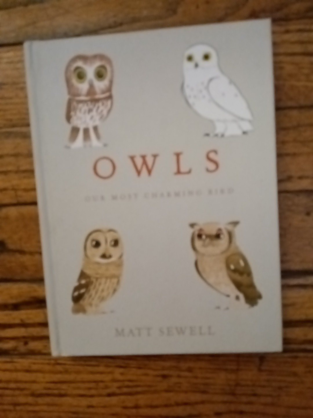 OWLS Our Most Charming Bird by Matt Sewell First Edition HC
