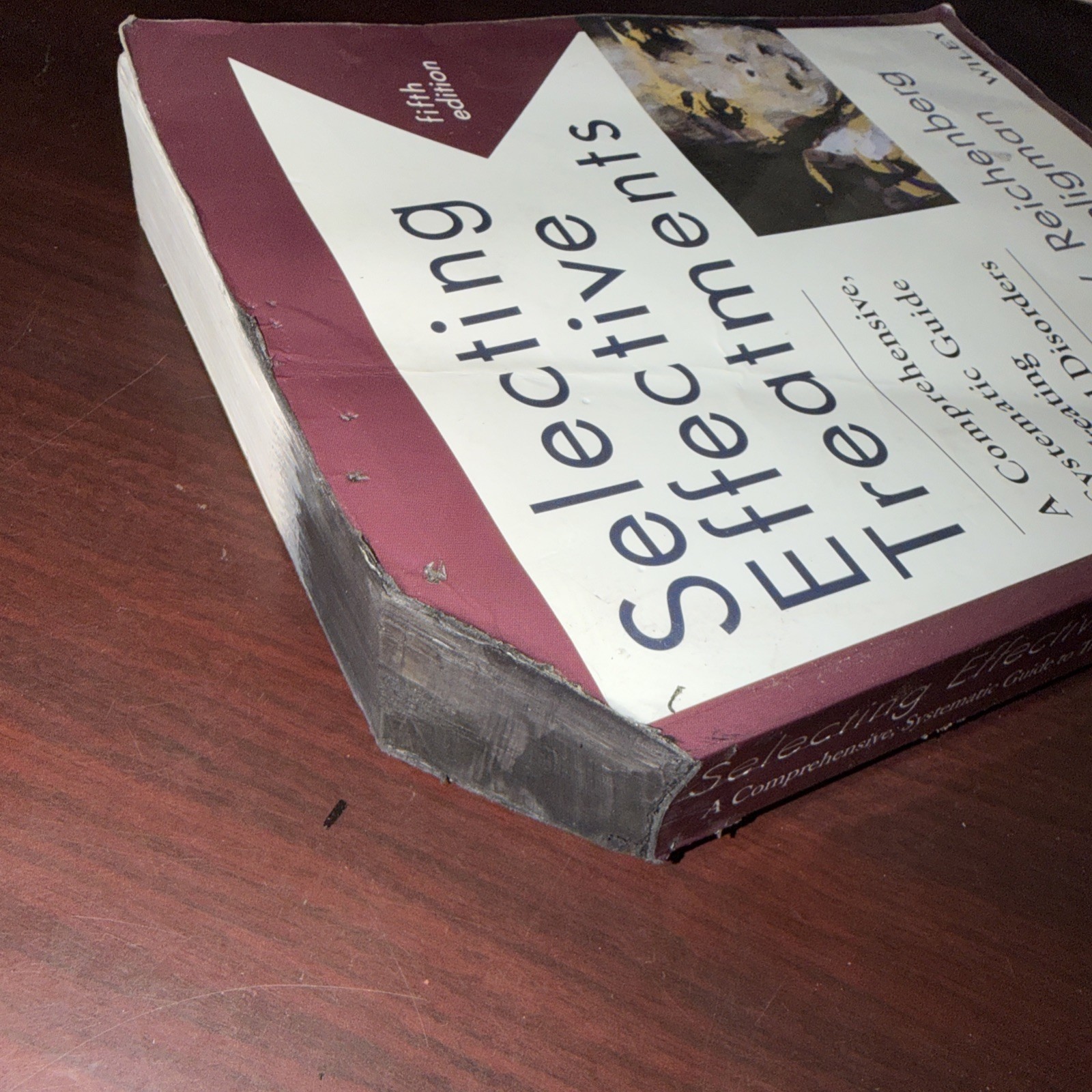Selecting Effective Treatments : Mental Disorders 5th Ed. Reichenberg & Seligman