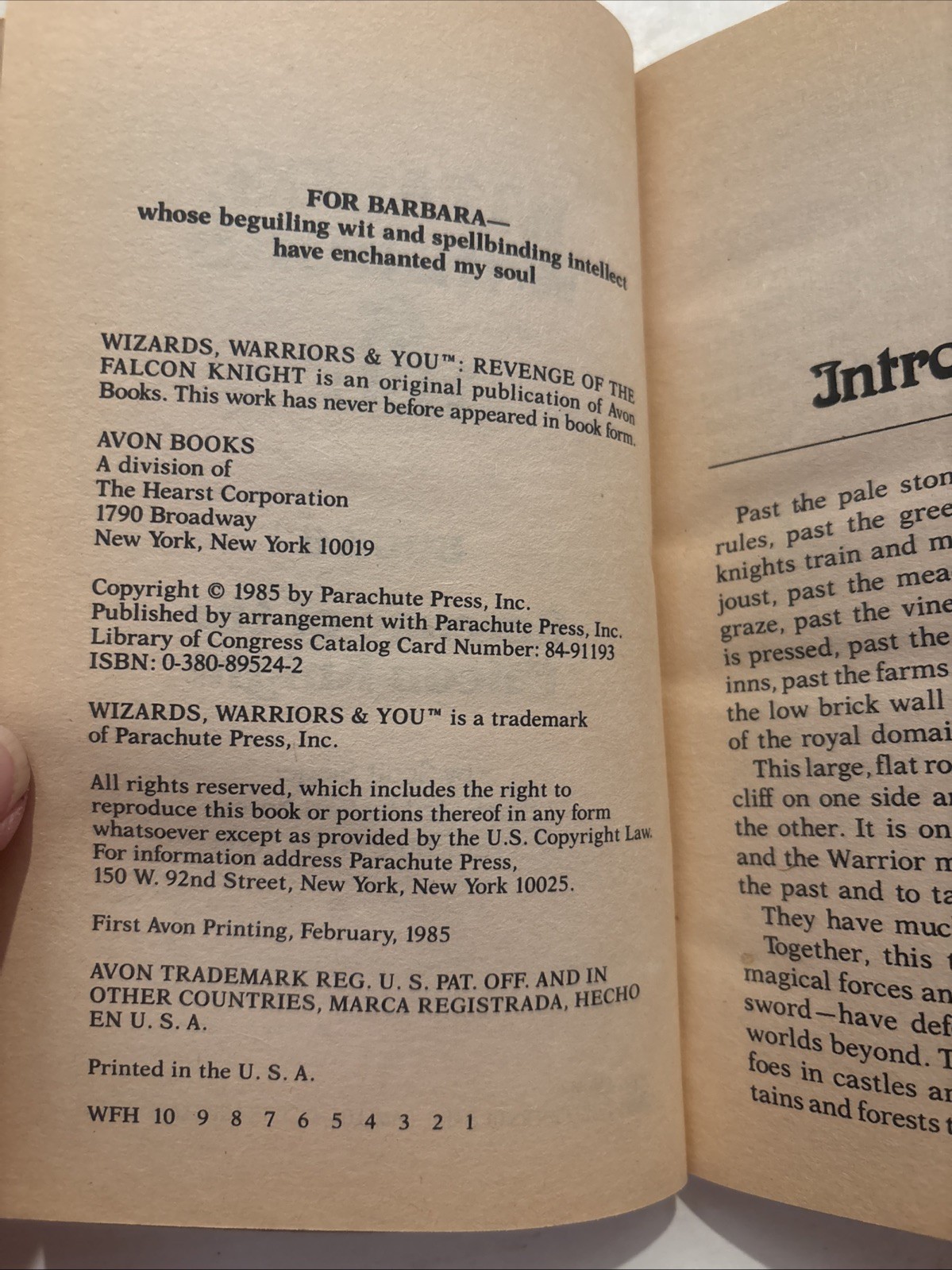 Wizards Warriors & You #6 Revenge of Falcon Knight by Scott Siegel CYOA 1985 1st