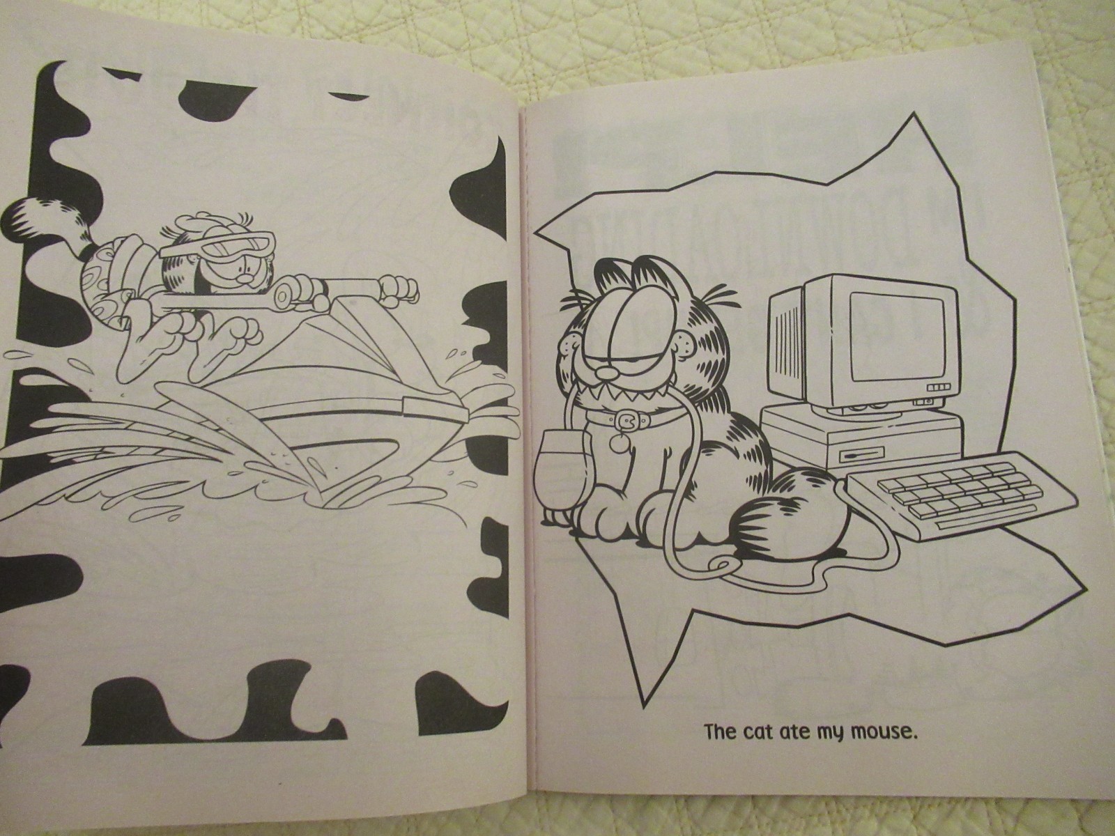 Garfield Coloring and Activity Books (2-Set) (Paperback) (Bendon Publishing)