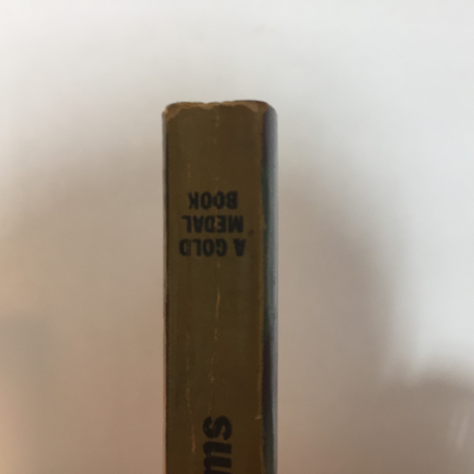 A Touch Of Death Charles Williams 1963 Fawcett Gold Medal Noir Crime Femme Fatal