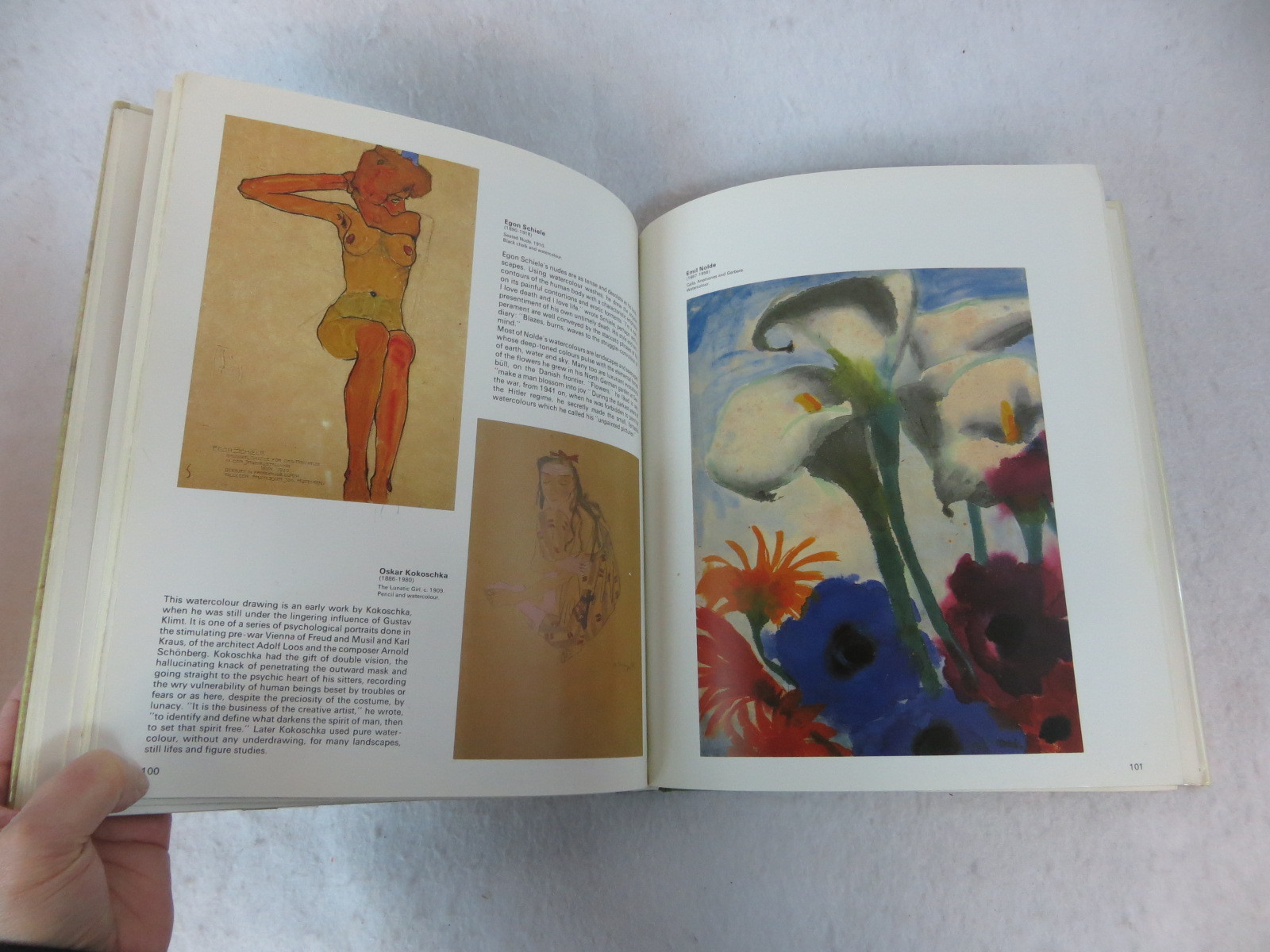 Jean Leymarie WATERCOLORS FROM DURER TO BALTHUS Skira 1984