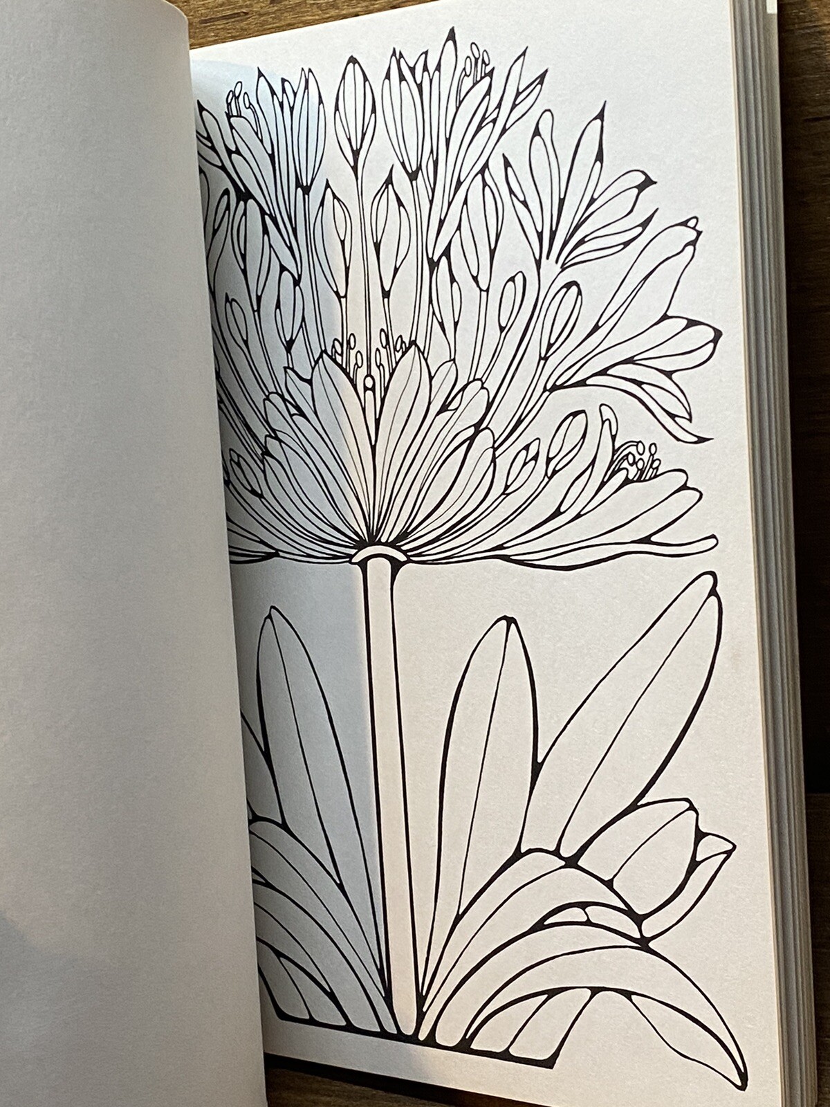 1978 Vintage Ruth Heller DESIGNS FOR COLORING 5 Book NEW Unused All Clean Pages