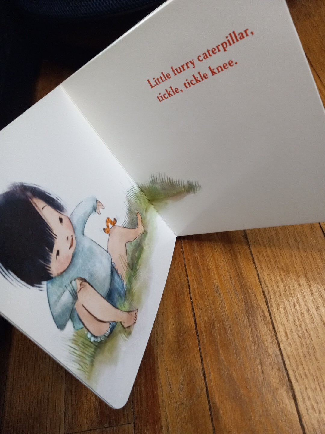 Little Bitty Friends (Animals) Children’s Board Book for Kids