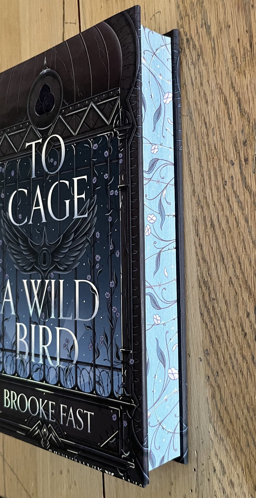 SIGNED To Cage a Wild Bird by Brooke Fast – Fairyloot Special Edition