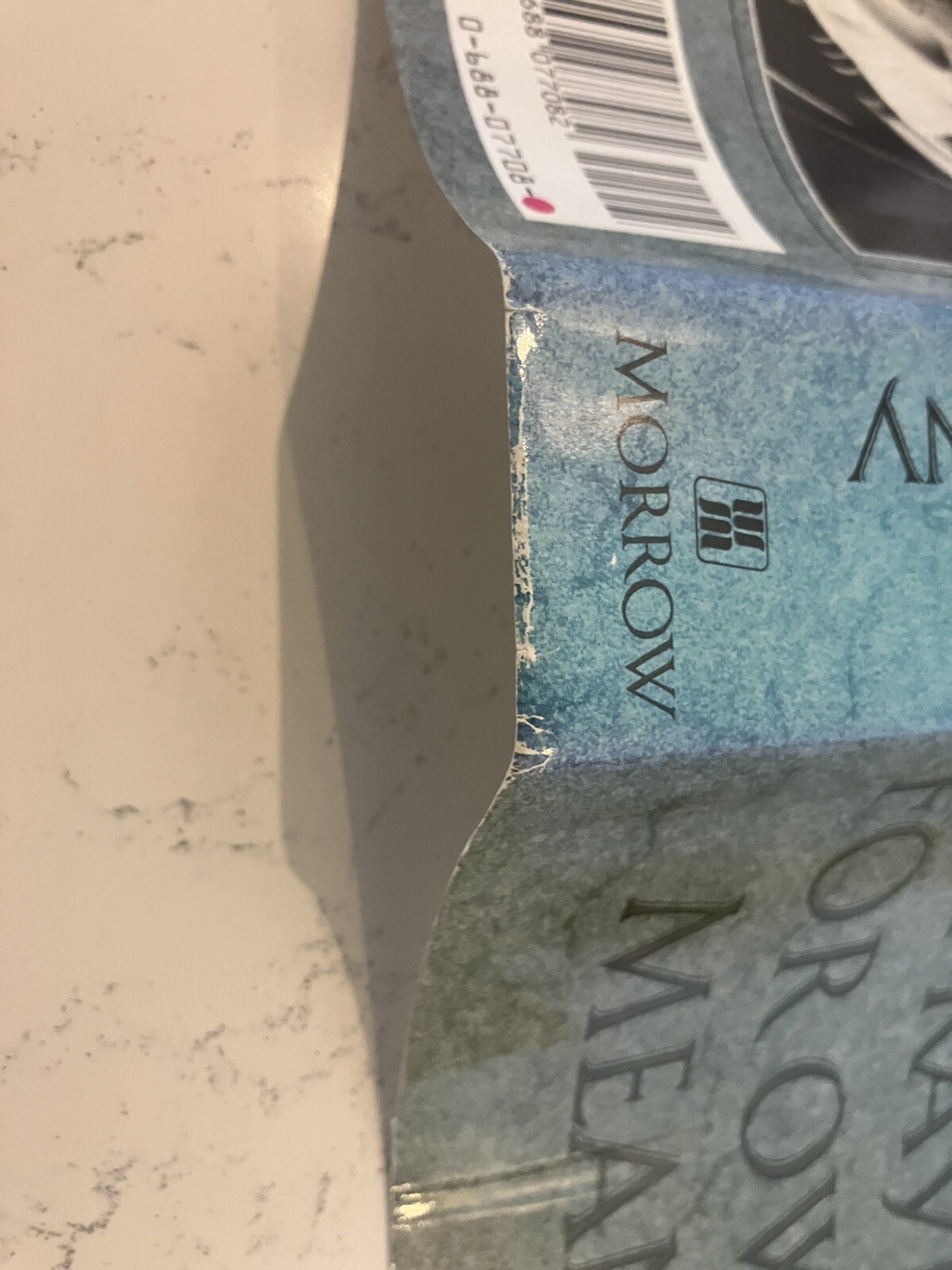 John Irving Hardcover First Editions: Prayer For Owen Meany/Cider House Rules.
