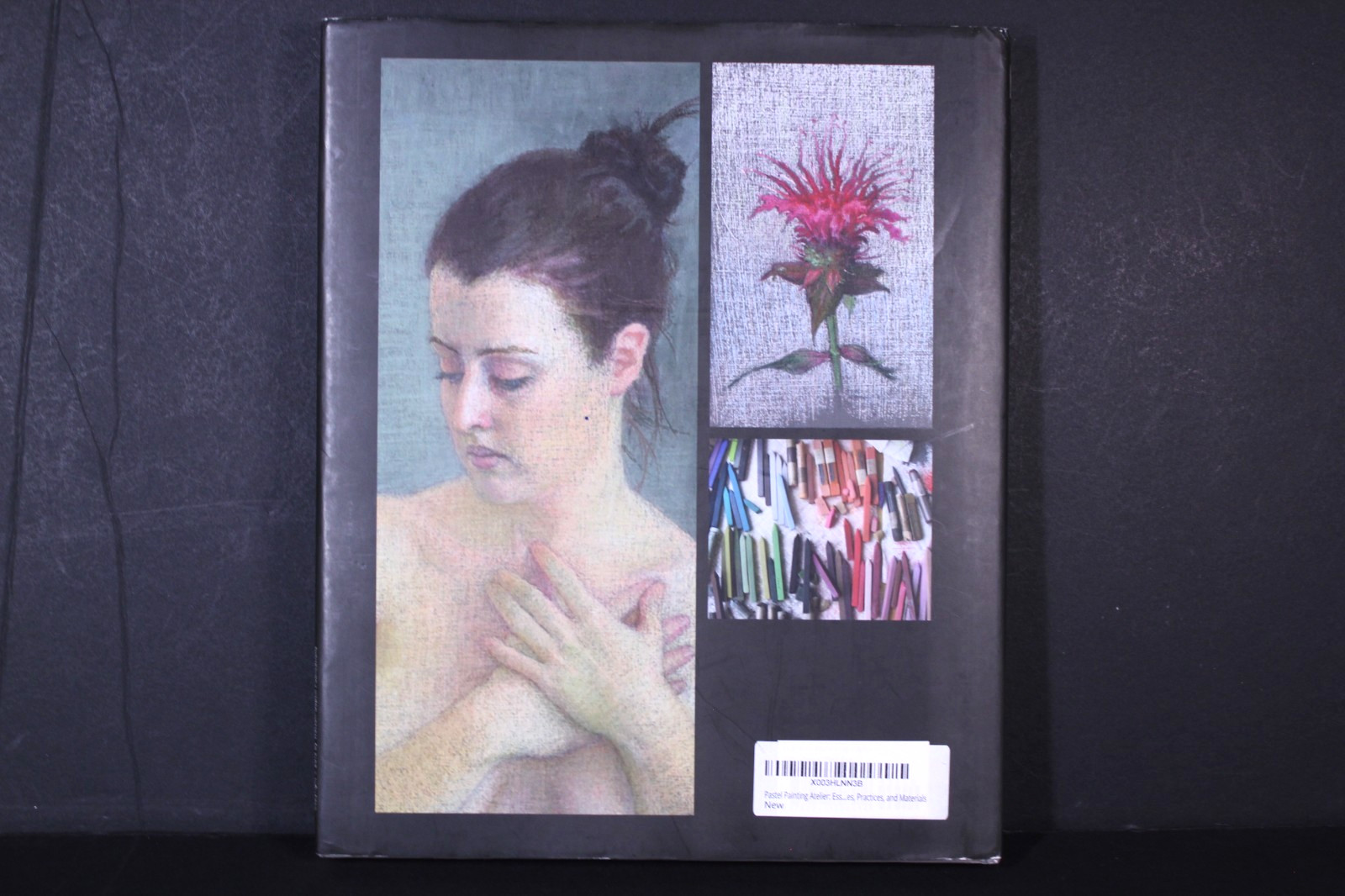 Pastel Painting Atelier-Essential Lessons in Techniques & Materials Ellen Eagle
