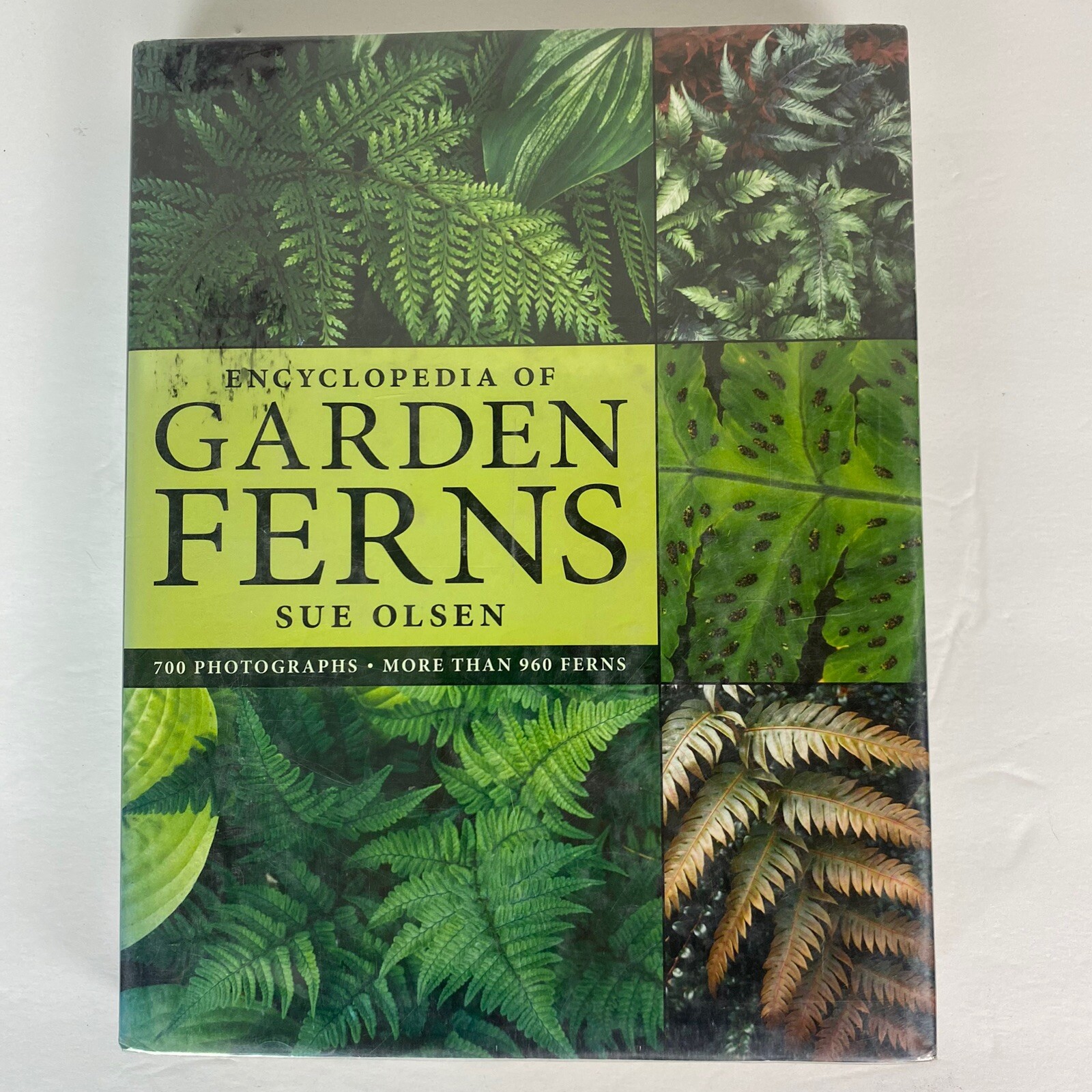 Garden Ferns Unlocked: Sue Olsens Ultimate Visual Guide to 950+ Stunning Ferns