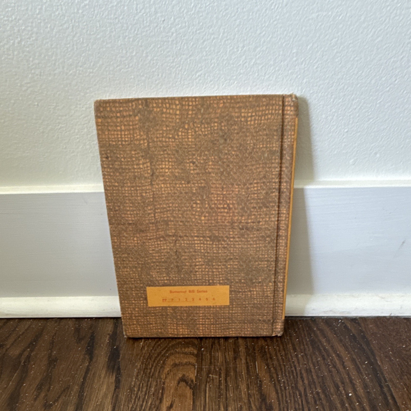 Benefic Press Butternut Bill and the Bee Tree HC Illustrated Darrell Wiskur