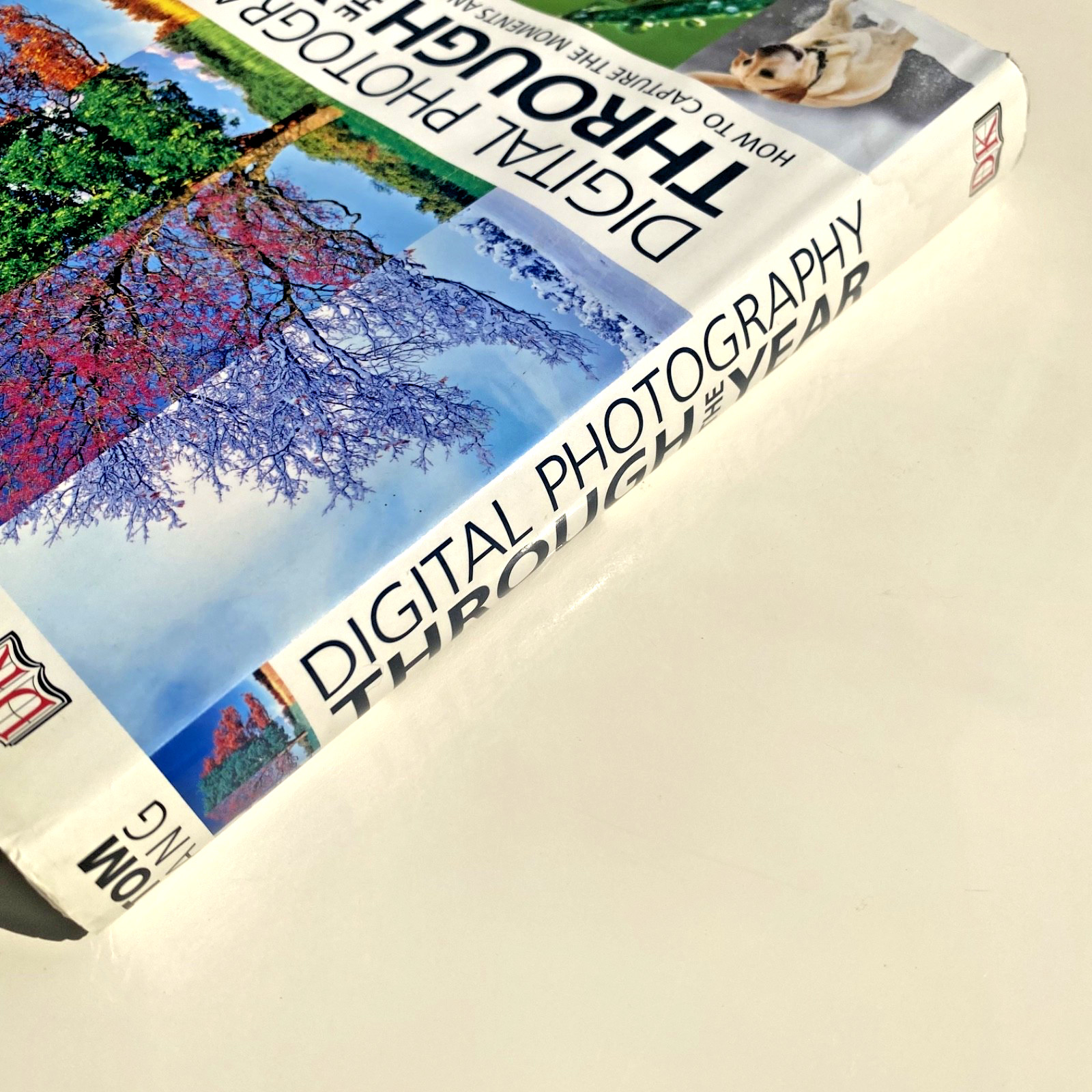 Digital Photography Through the Year – moments and moods of every season Tom Ang