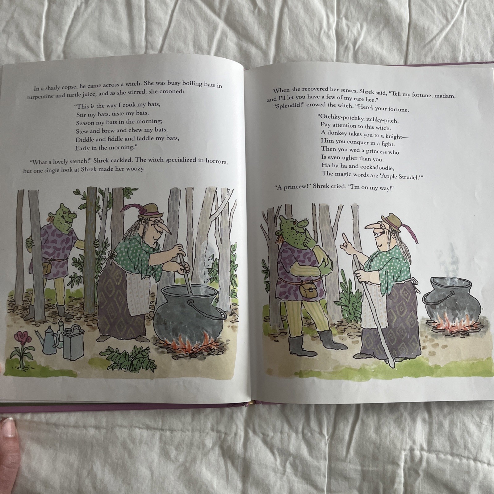 Vtg SHREK First Edition Book 90’ William Steig Farrar Straus Giroux NY Nostalgia