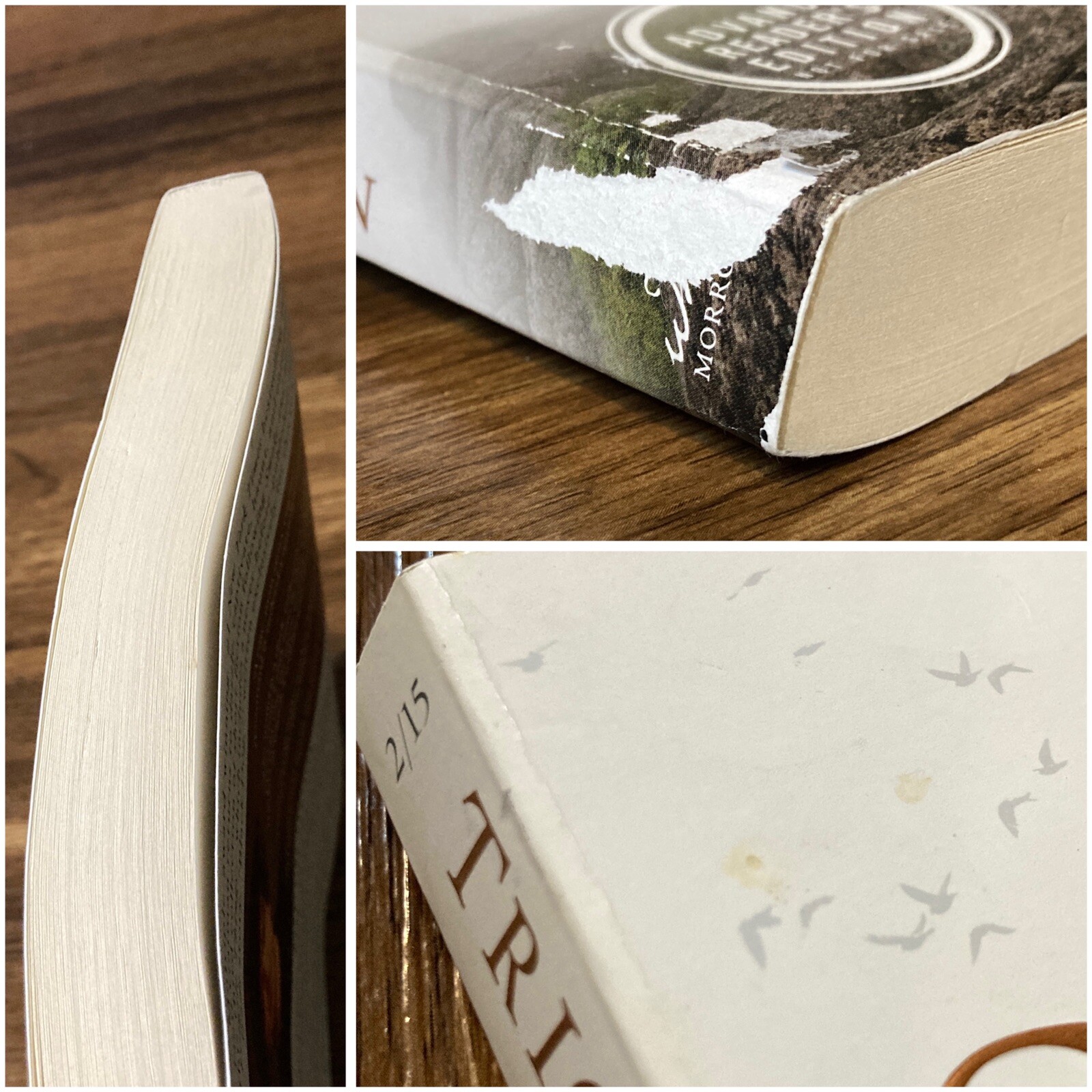 *ARC / Uncorrected Proof* Trigger Warning – Neil Gaiman (William Morrow, 2015)
