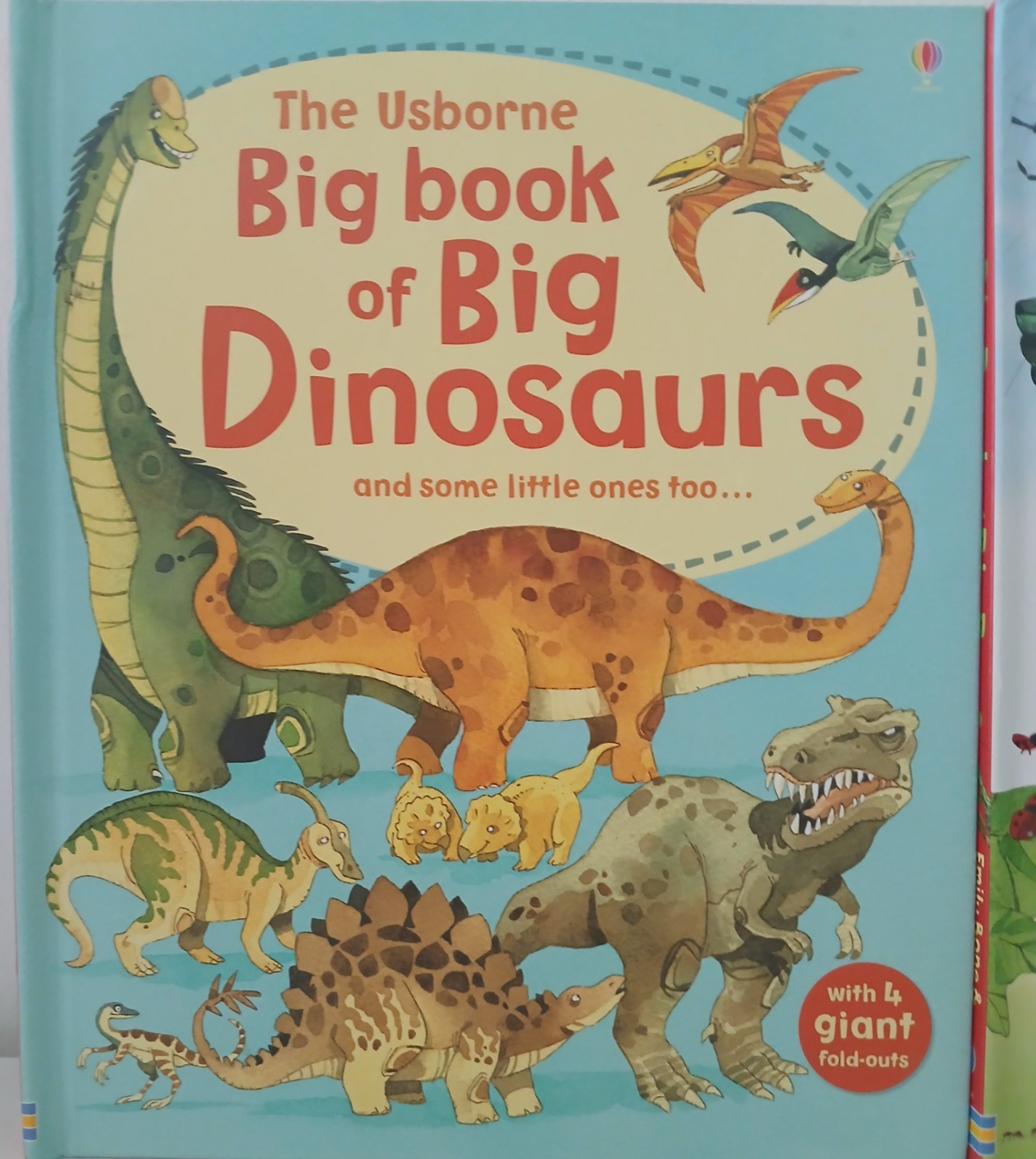 Usborne Big Book Of Dinosaurs & Bugs STEM Learning Fold-Out Pages Home School