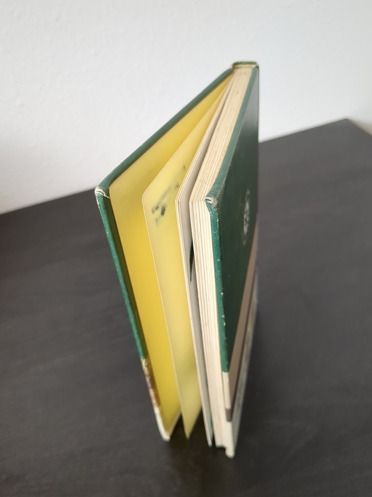Non-Flowering Plants Golden Nature Guide Hardcover Book Mushrooms 1967
