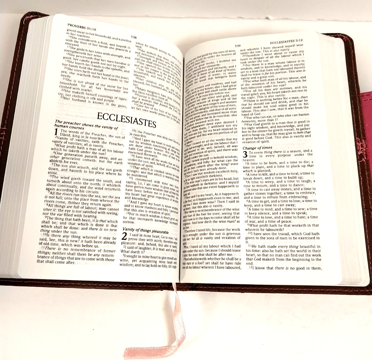 KJV Compact UltraThin Bible Brown/Pink Leather Touch Mag Flap 2012 Holman