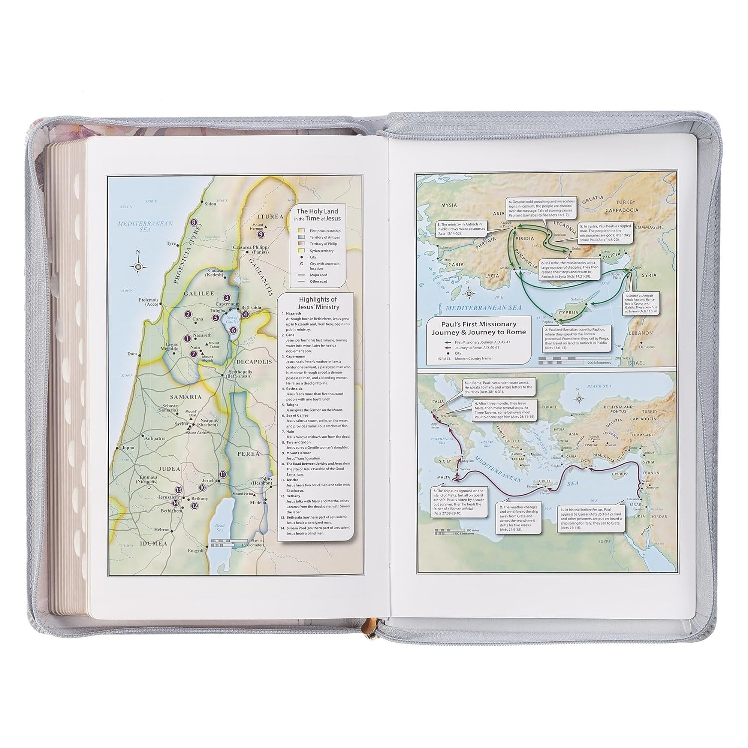 HOLY BIBLE * DELUXE GIFT BIBLE * KJV * GILD-EDGED * BRAND NEW WITH SLIP COVER