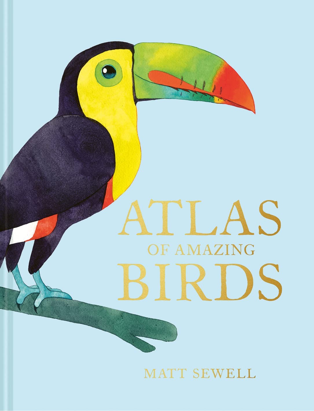 Matt Sewell’s Atlas of Amazing Birds By Matt Sewell