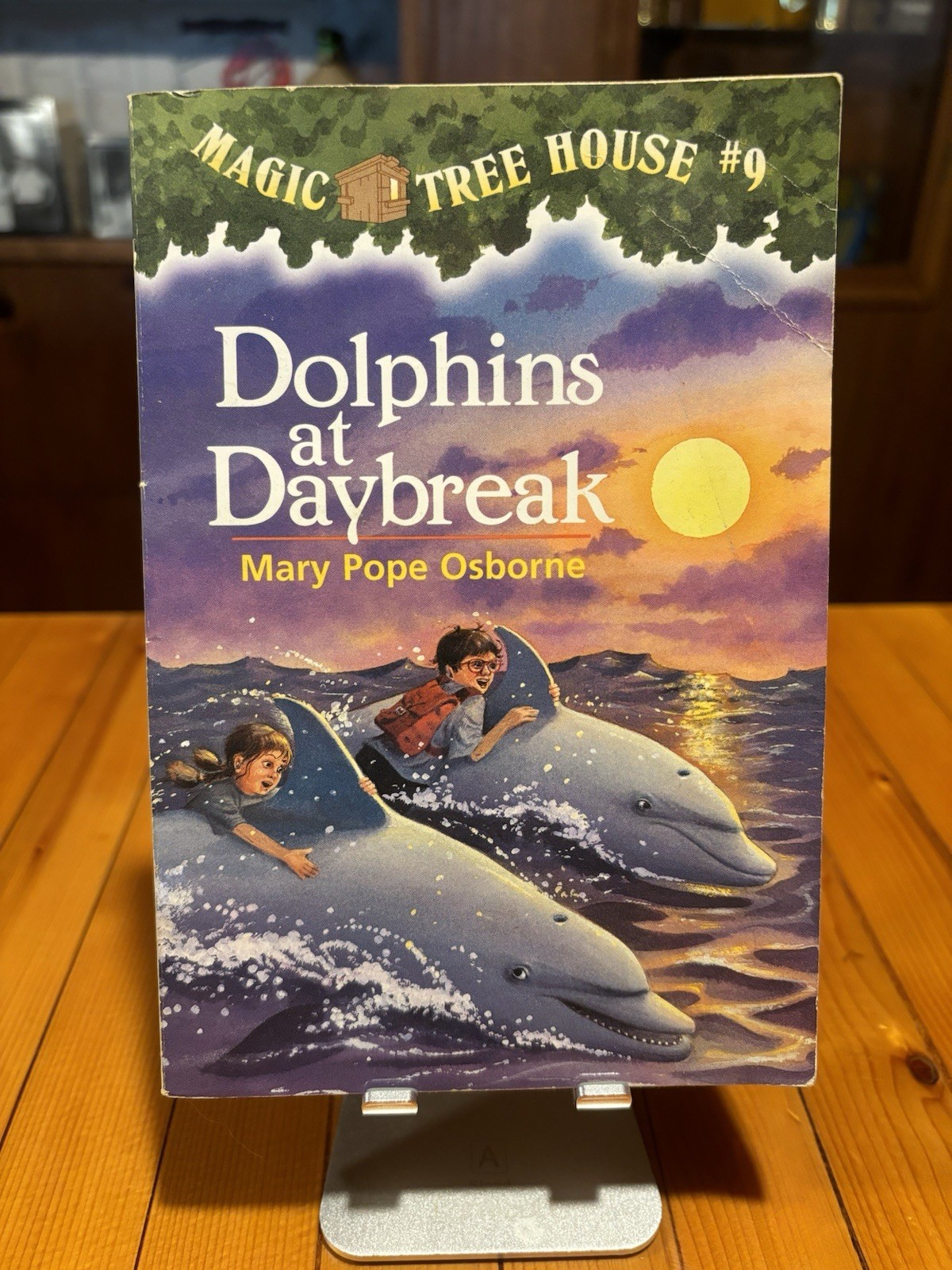 Magic Tree House #9 Dolphins At Daybreak, Paperback By Mary Pope Osborne