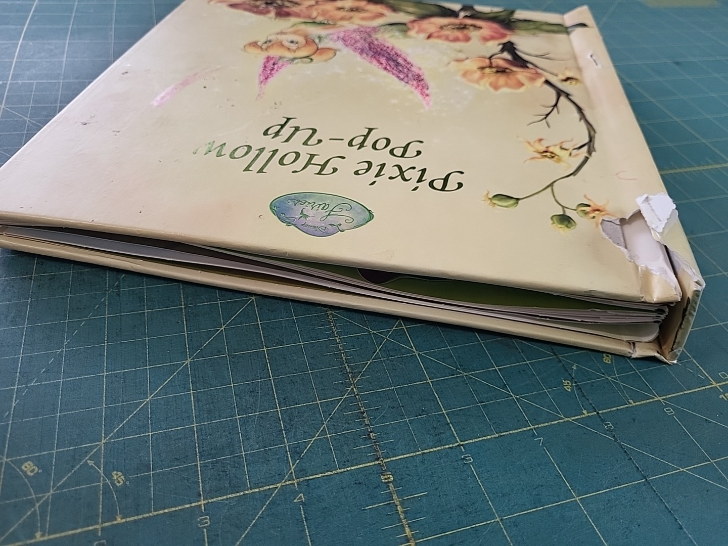 Pixie Hollow Pop-Up by Kitty Richards and Disney Books 2007 Hc “SEE PHOTOS”