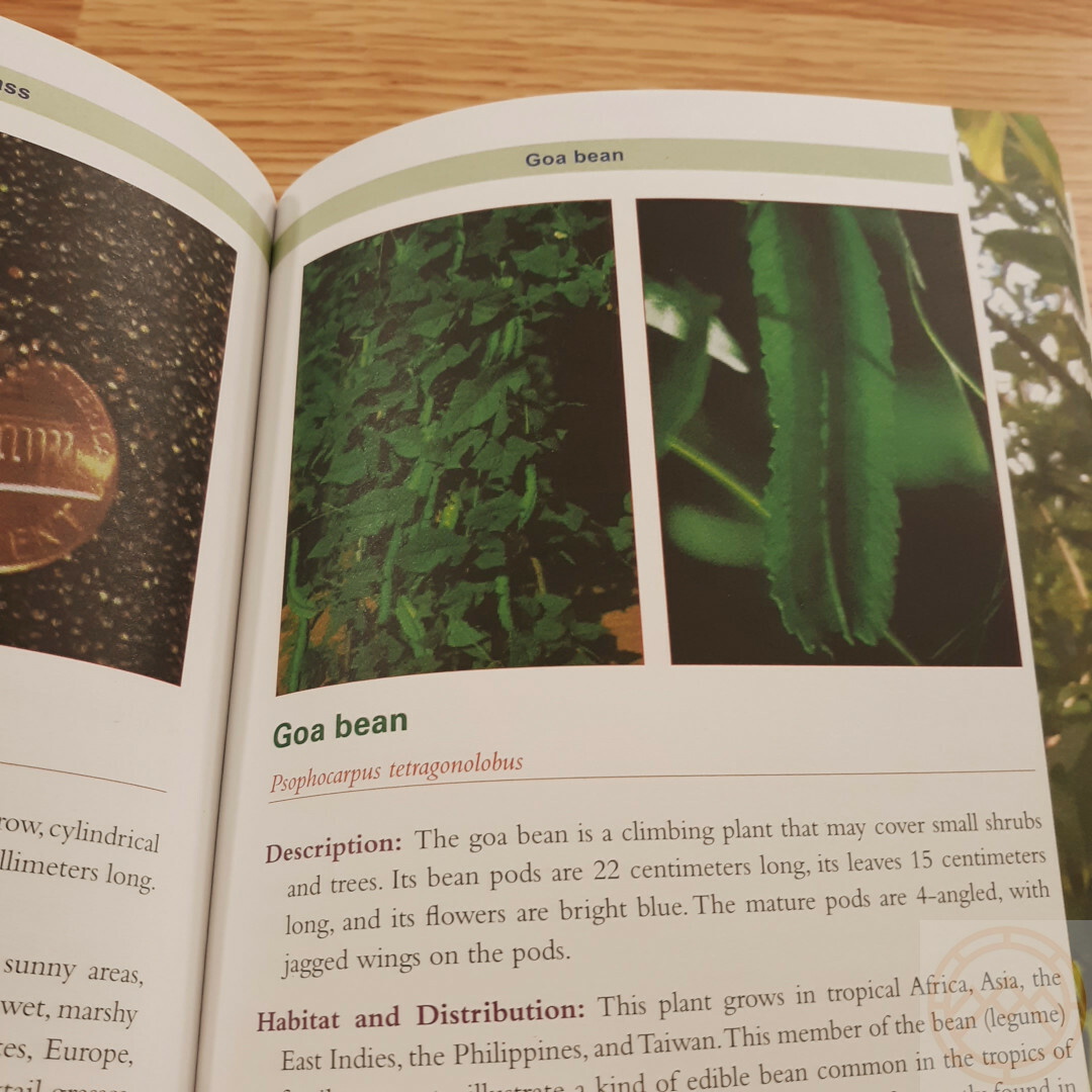 Complete Guide to Edible Plants Book Army Dept Medicine Poison Color Photos