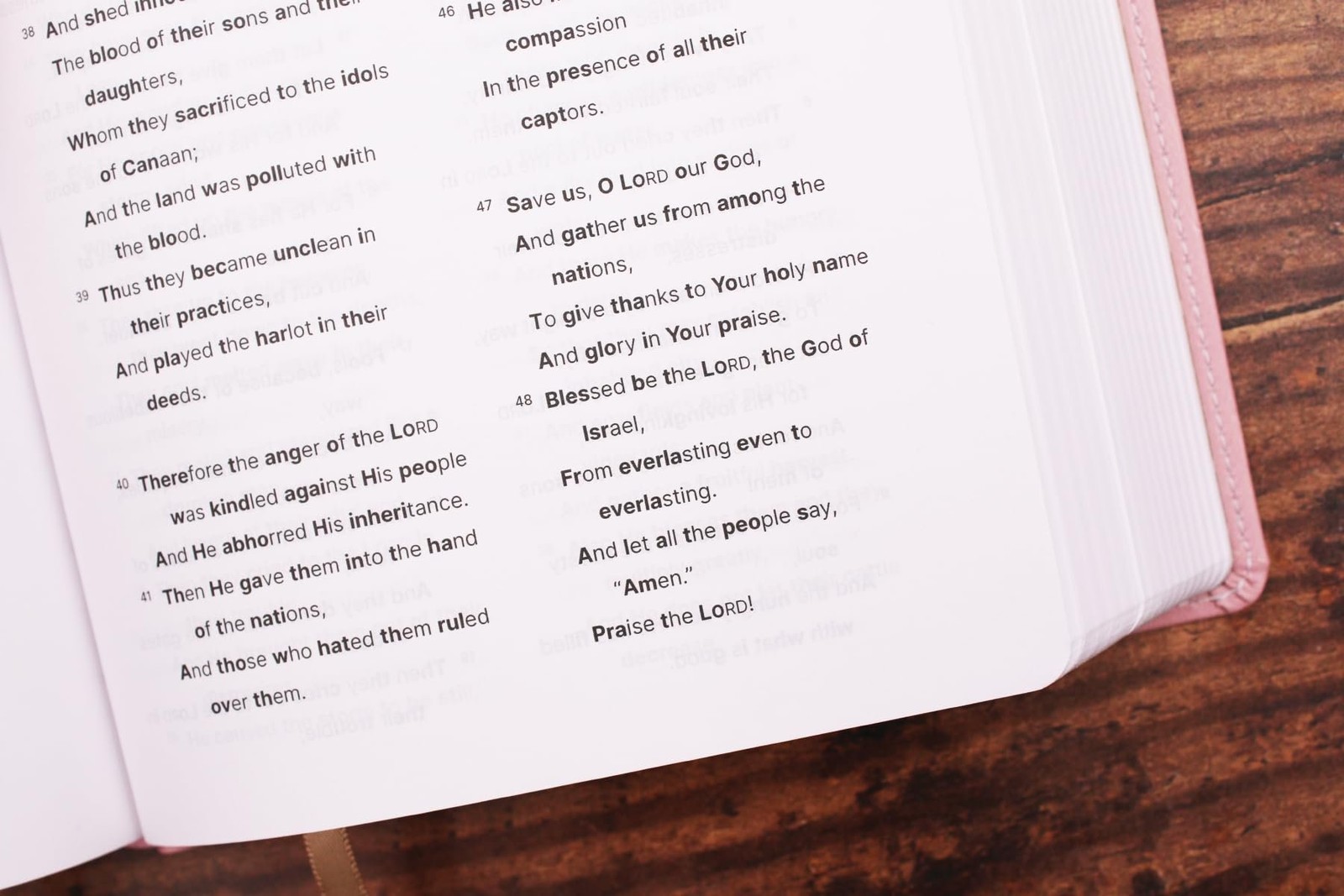NASB, Clear Focus Bible, Leathersoft, Pink: Read more of the Bible with…