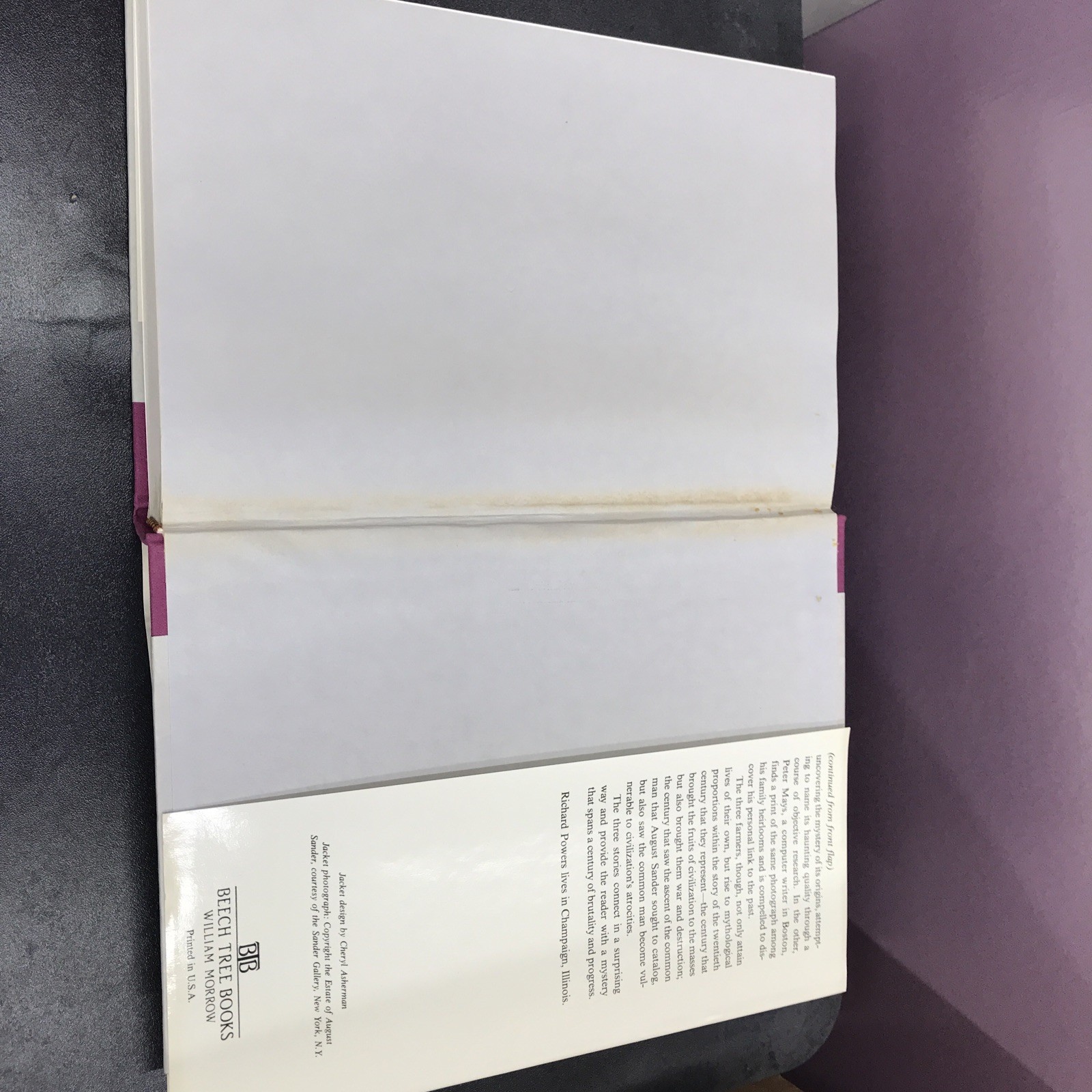 THREE FARMERS ON THEIR WAY TO A DANCE – Of RICHARD POWERS-1st Edition ,1985.#149