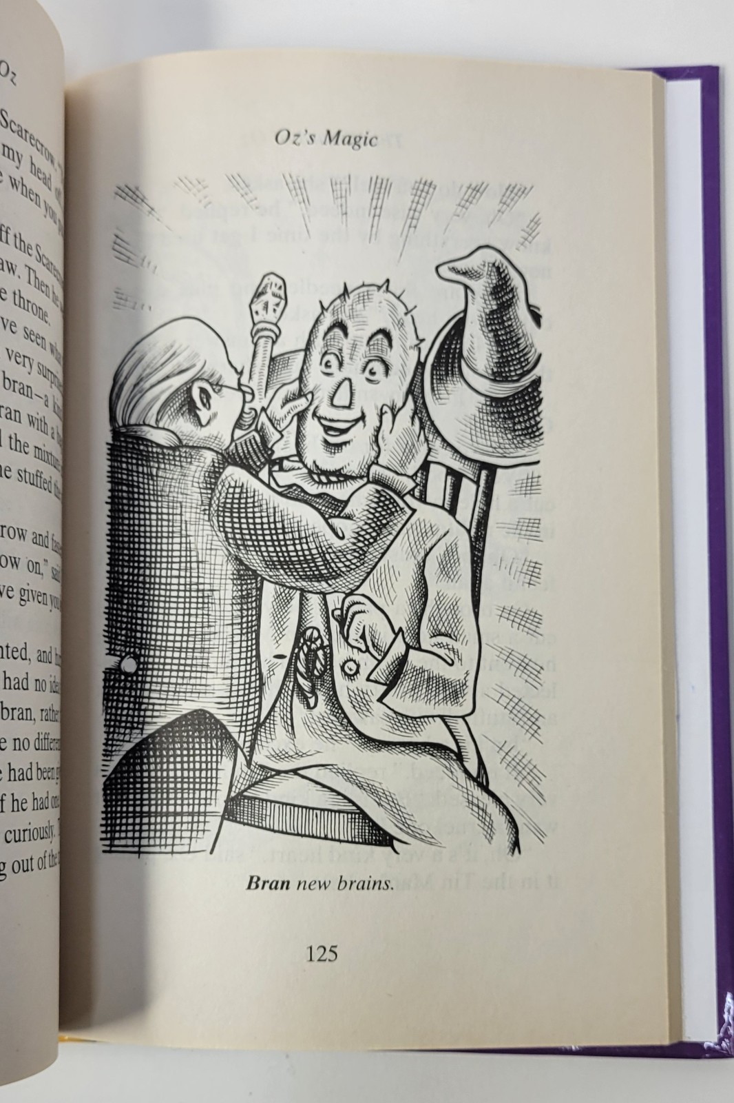 The Wizard of Oz – LF. Baum – Illustrated By Andrew Hopgood 2008 (Hardcover)