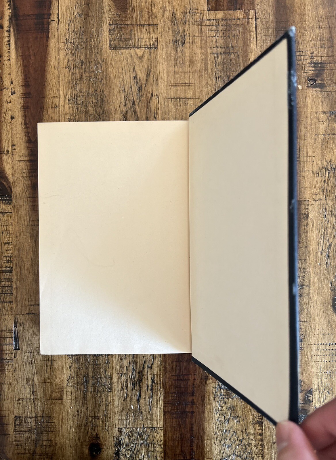 Remembrance Rock Carl Sandburg 1948 HC First Regular Edition