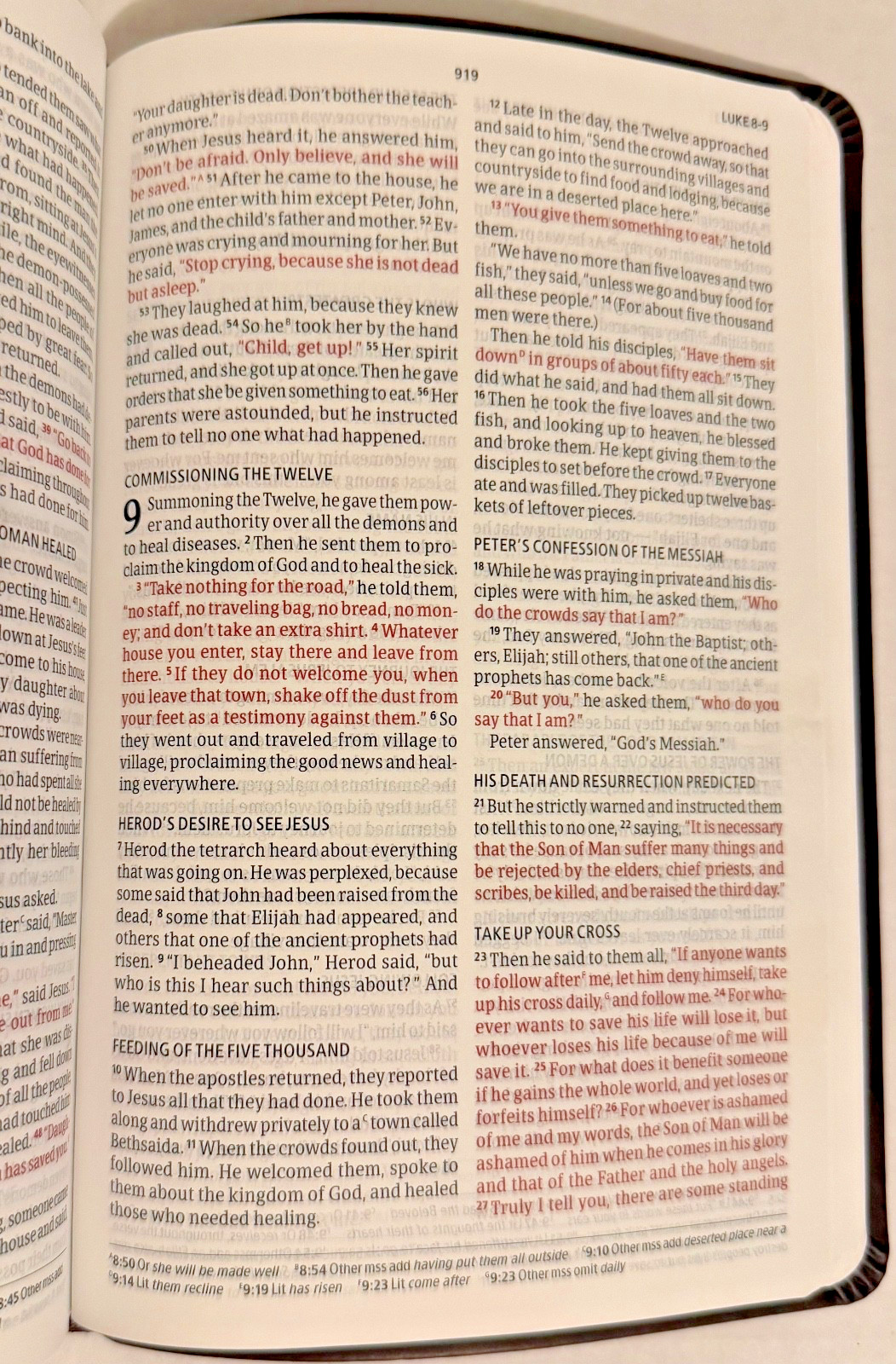 Christian Standard Bible Thinline Value Edition Brown LeatherTouch Holman NEW