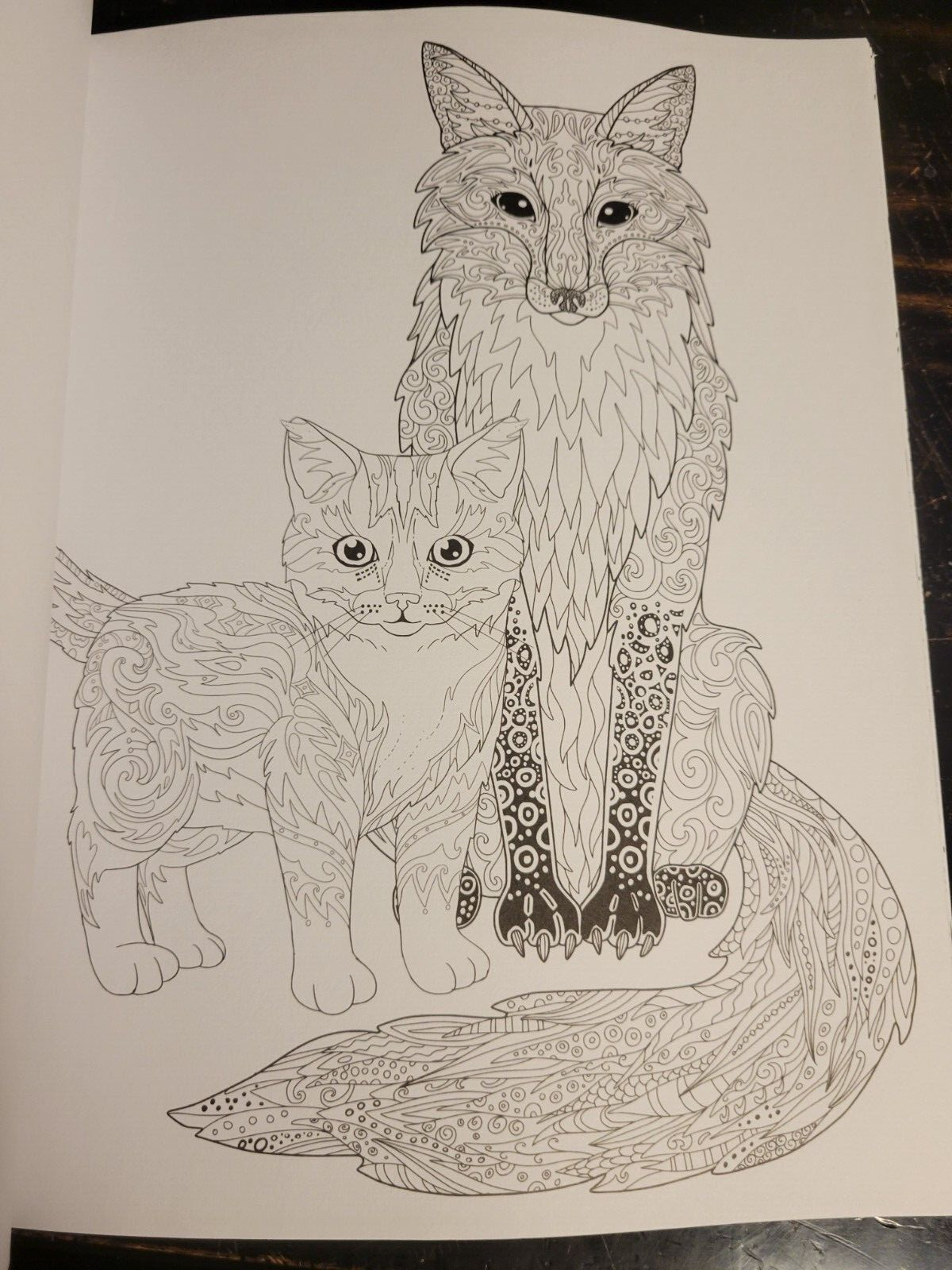 COLORING ANIMAL FRIENDS Vol 2 Adult Coloring Book With 47 Prints Ready To Frame