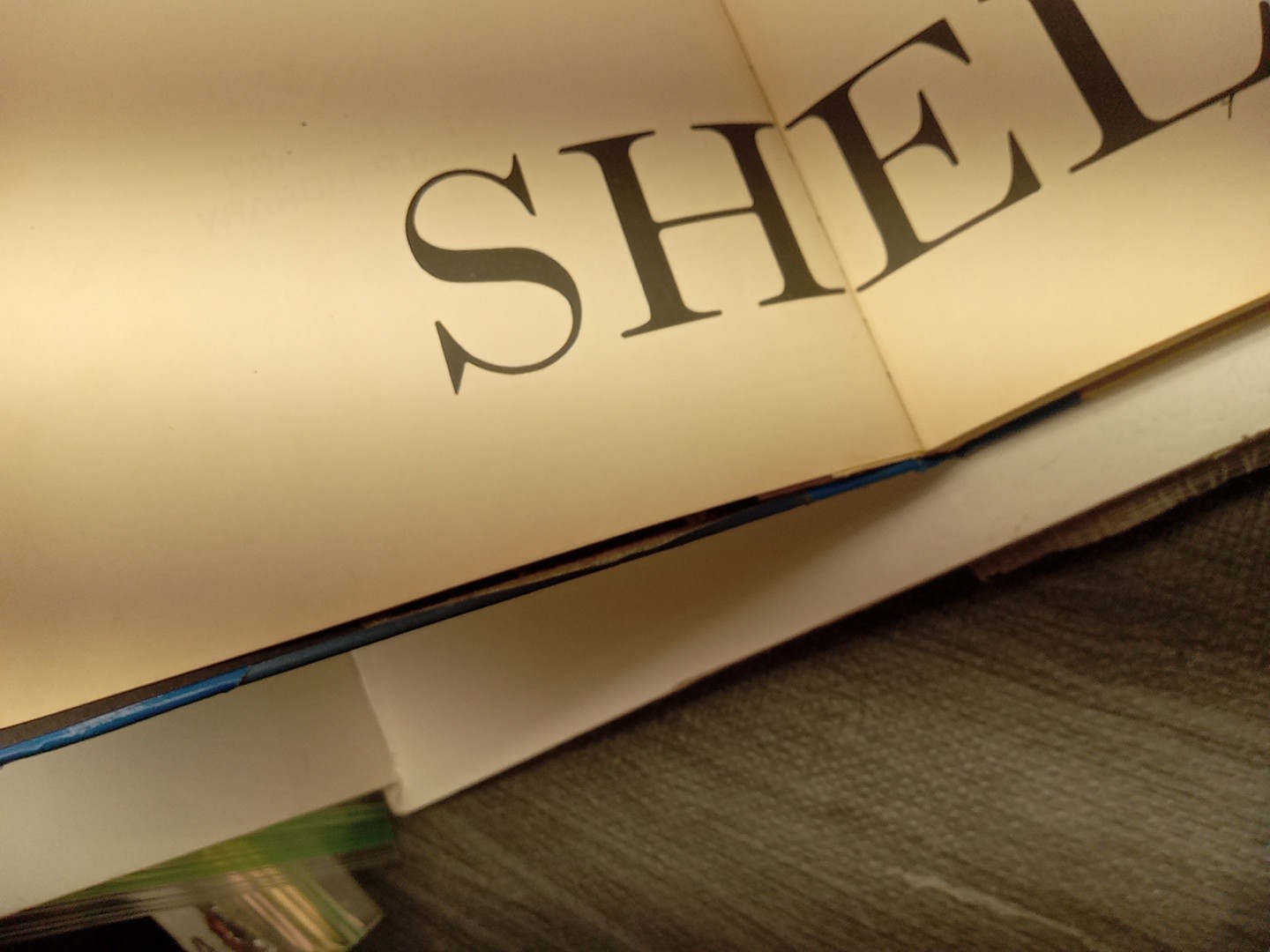 Shells By Roderick Cameron (HC, 1961) Ex Library – READ