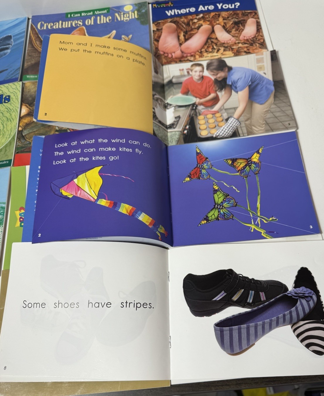 Newmark Learning Dynamics Readers I Can Read About Phonics Easy Read Child Lot