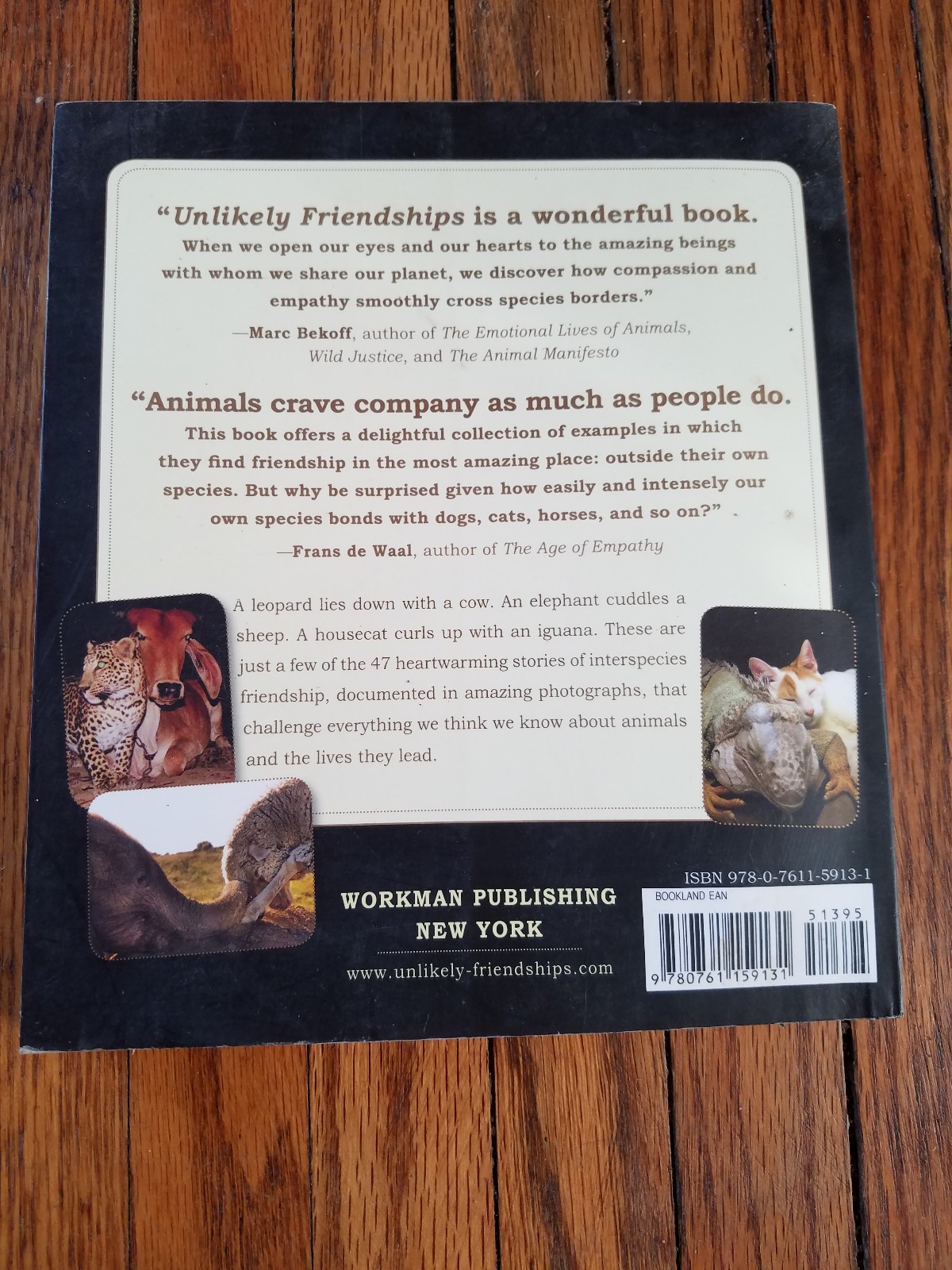 Unlikely Friendships by Jennifer S. Holland Paperback