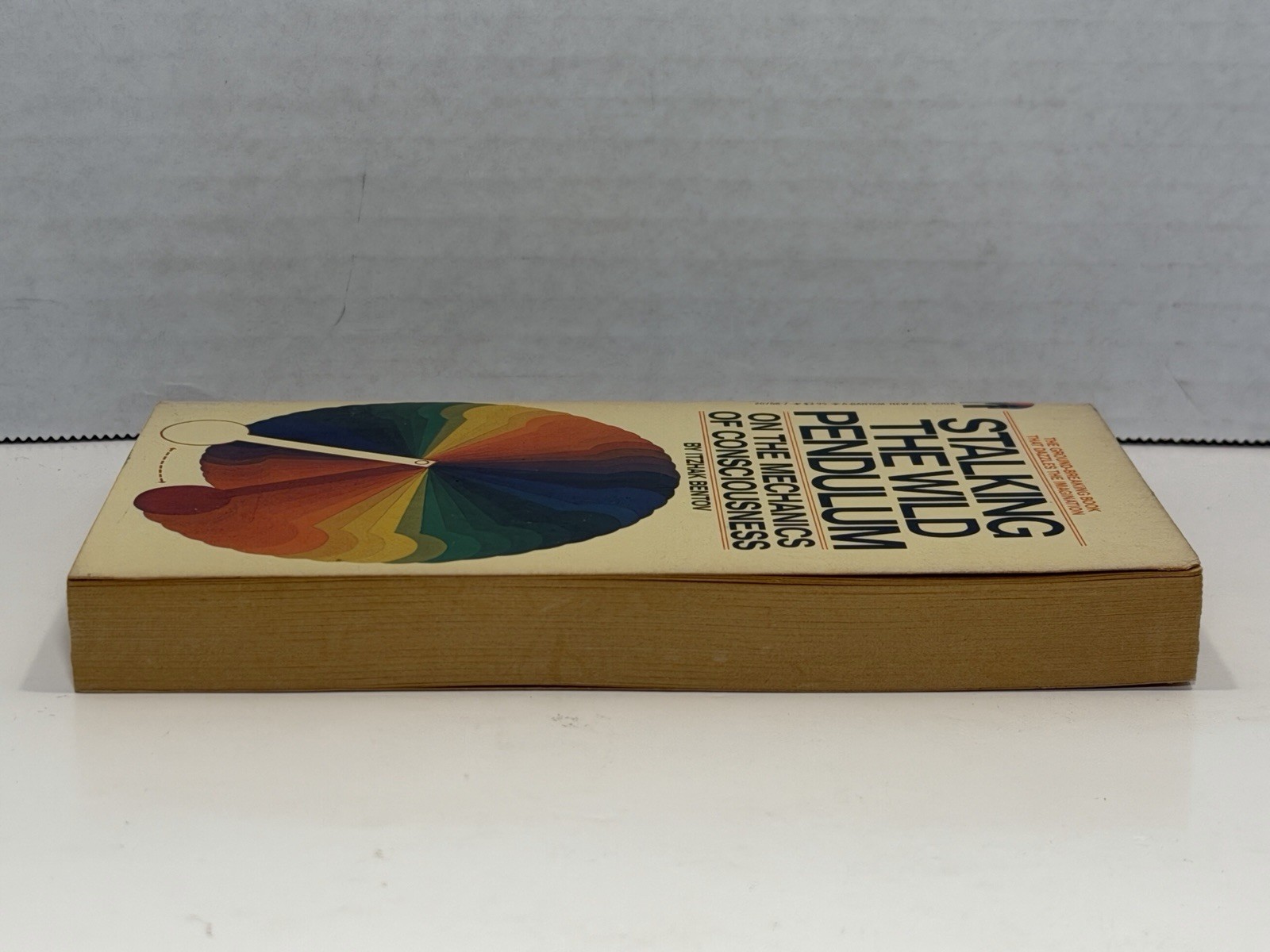 Stalking The Wild Pendulum: Mechanics Of Consciousness – Itzhak Bentov, 1981