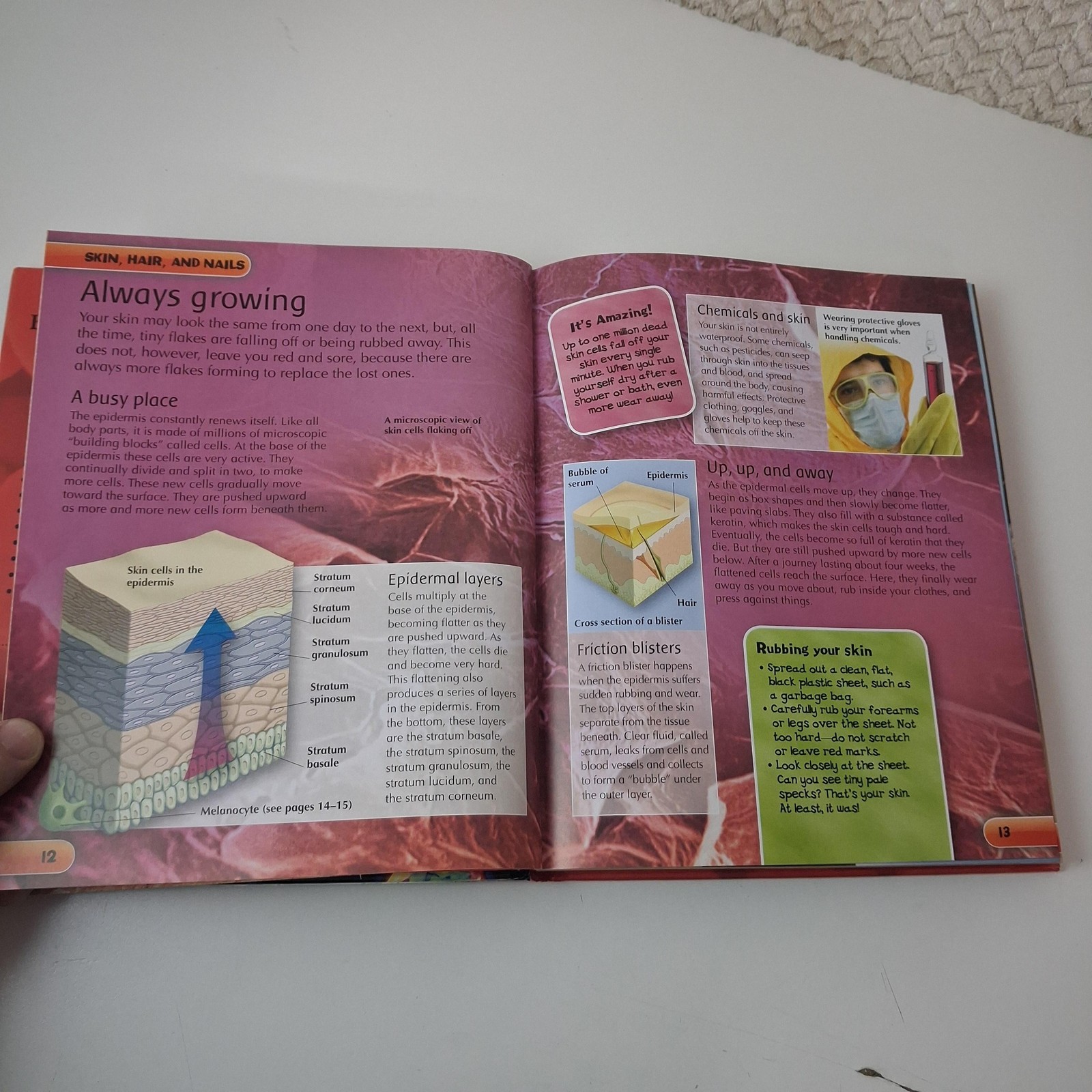 Children’s Human Body Encyclopedia Steve Parker Kids Science Book Hardcover