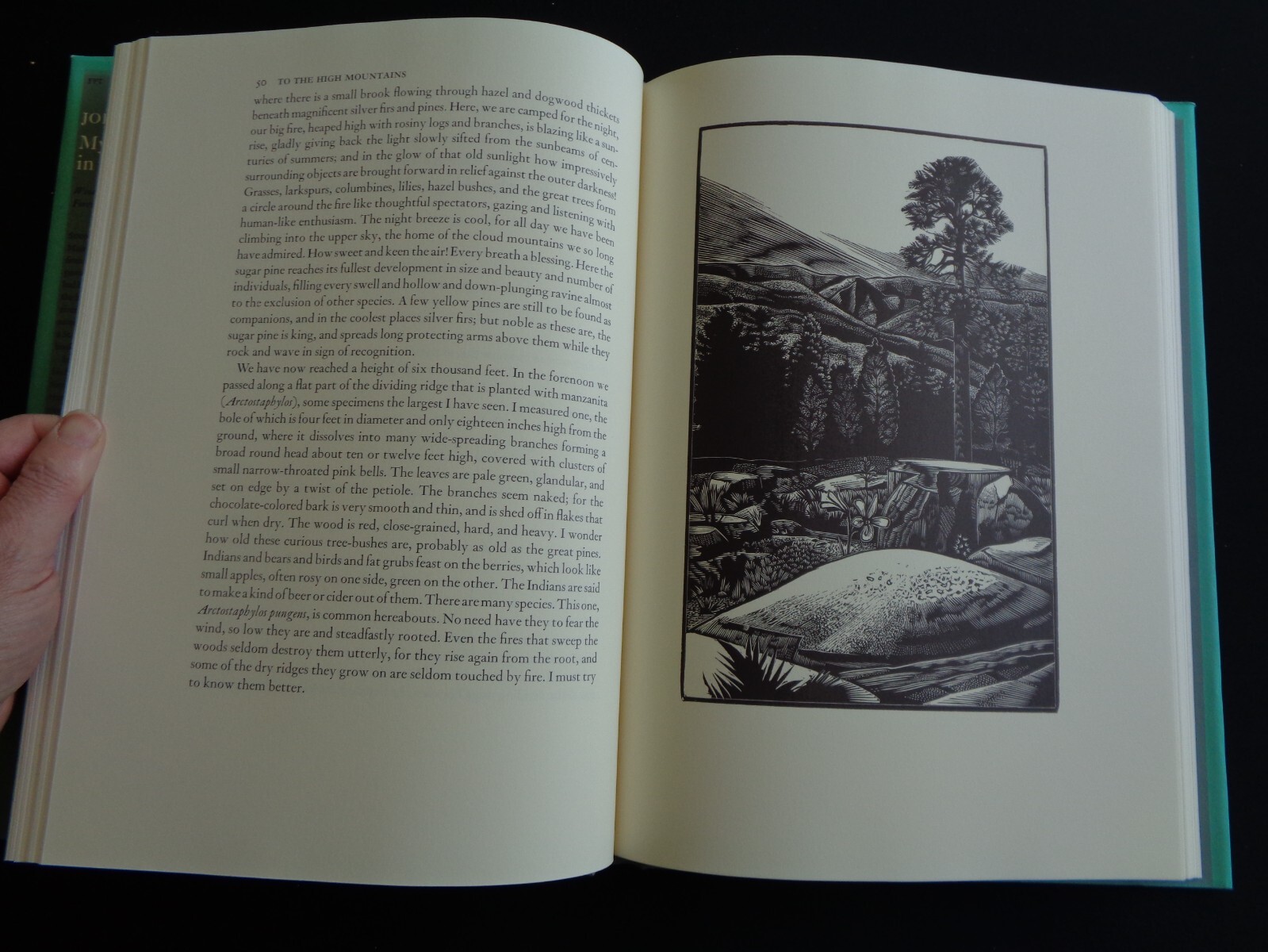 John Muir My First Summer in the Sierra 1988 Wood Engravings by Michael McCurdy