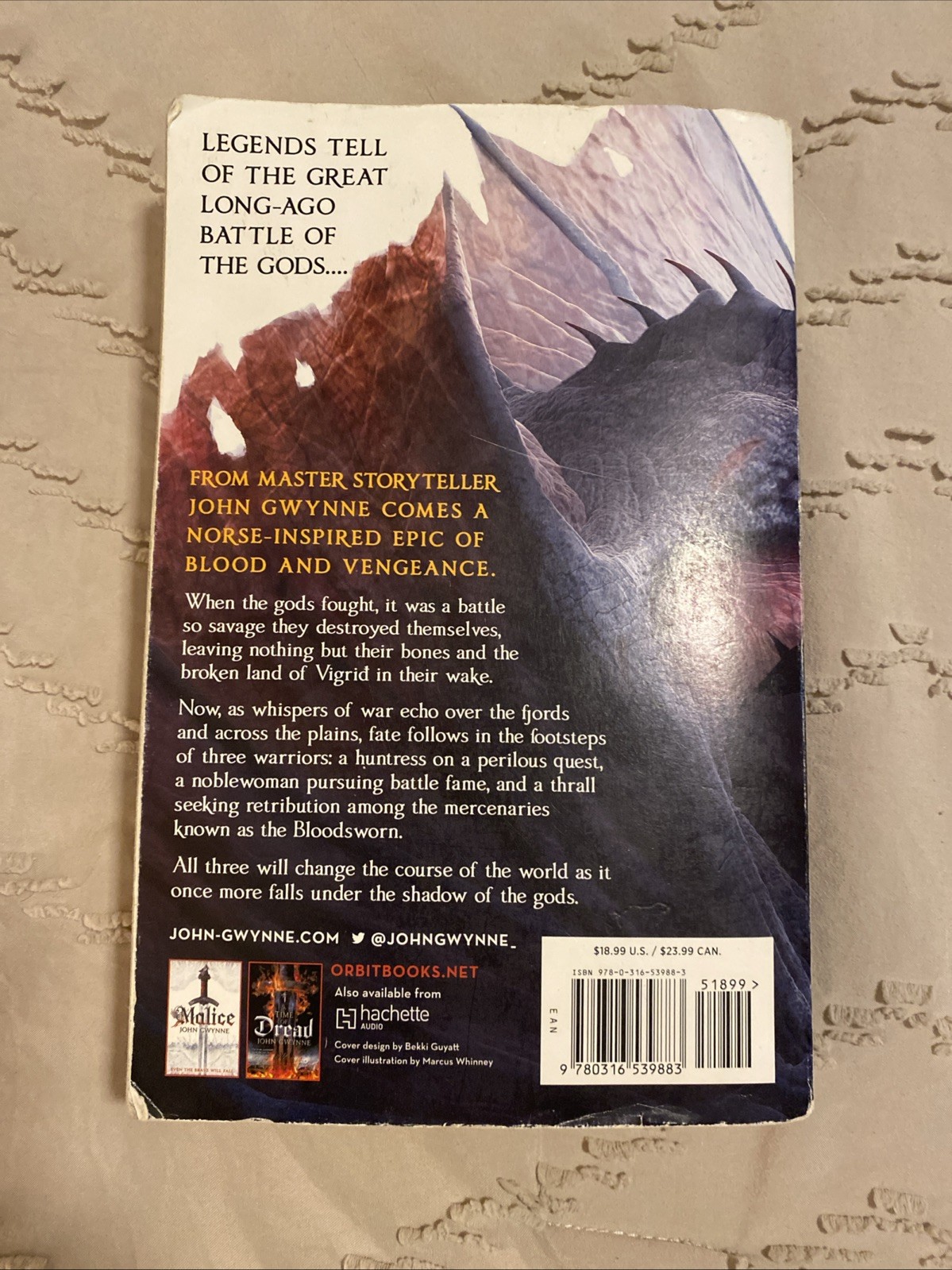 The Shadow of the Gods (The Bloodsworn Trilogy, 1) – paperback Gwynne, John