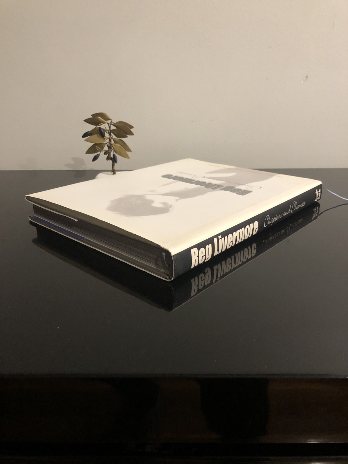 Reg Livermore Chapters And Chances H G B 2003 First Ed/F.Print HC DJ LN 🇦🇺🎭