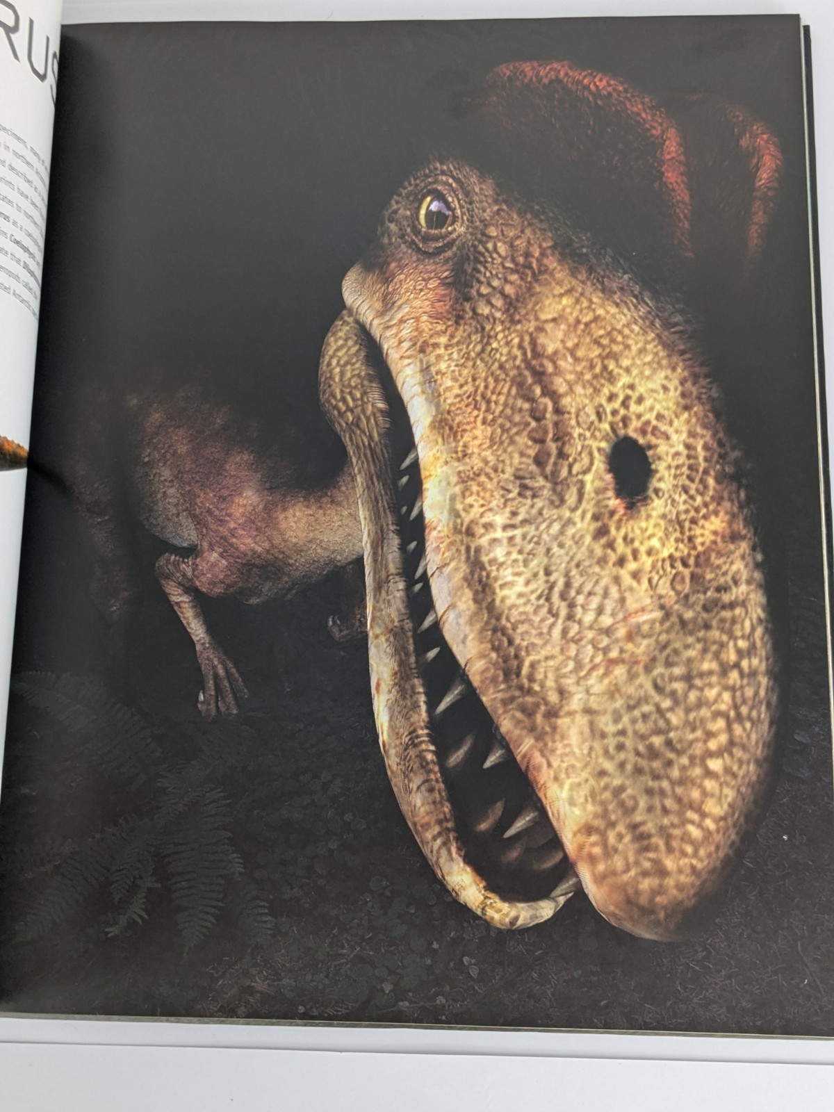 Dinosaurs by Steve Brusatte (Large Hardcover) 2010