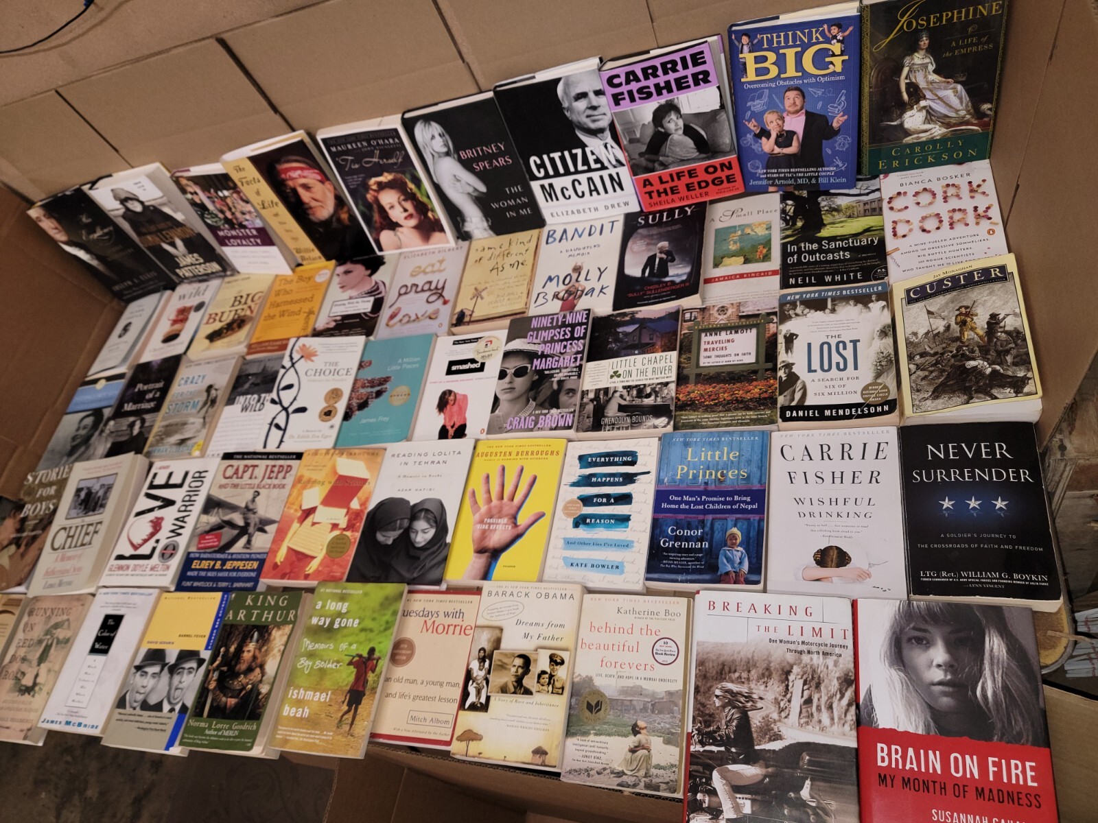 Lot of 20 Autobiography Biography Historical Memoir Books *RANDOM* UNSORTED MIX
