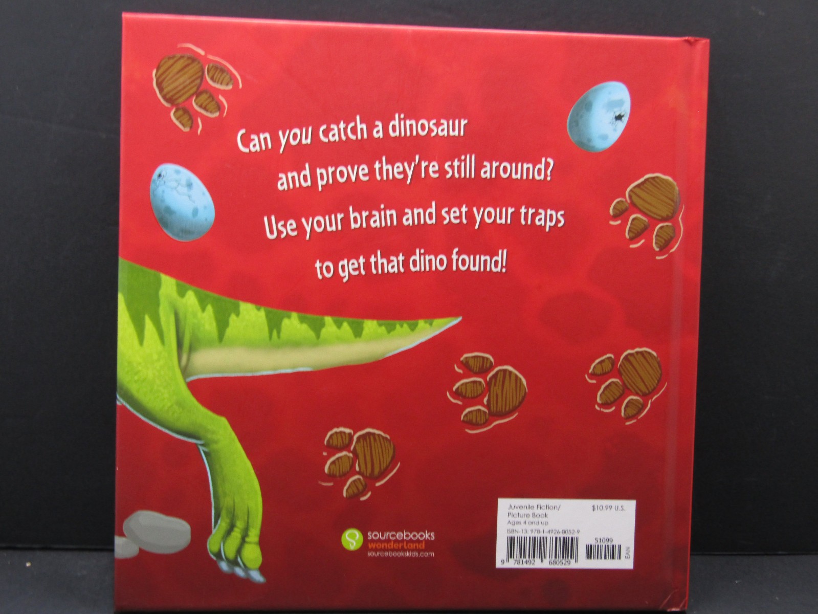 How To Catch a Dinosaur New York Best Sellers List Kids Book Free Fast Shipping