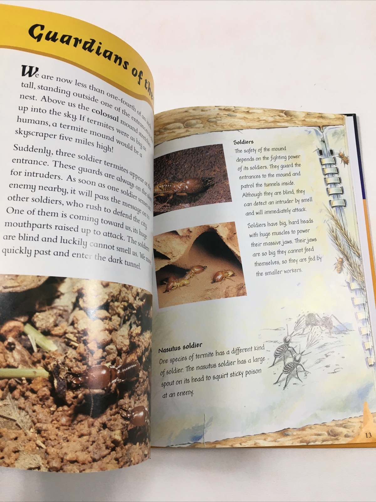 Through a Termite City – Carole Telford (Hardcover, 1998) Amazing Journeys Ser.