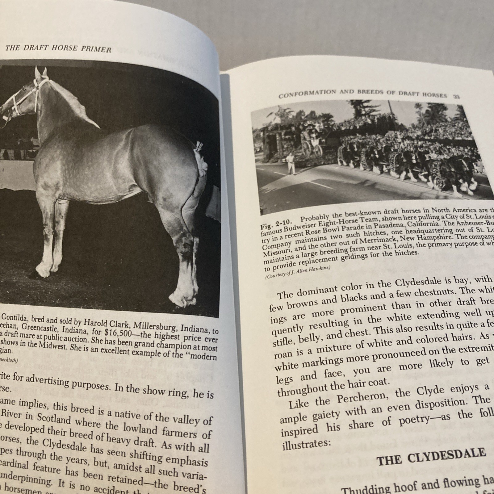 The Draft Horse Primer by Maurice Tellen 1977 Paperback 392 Pages
