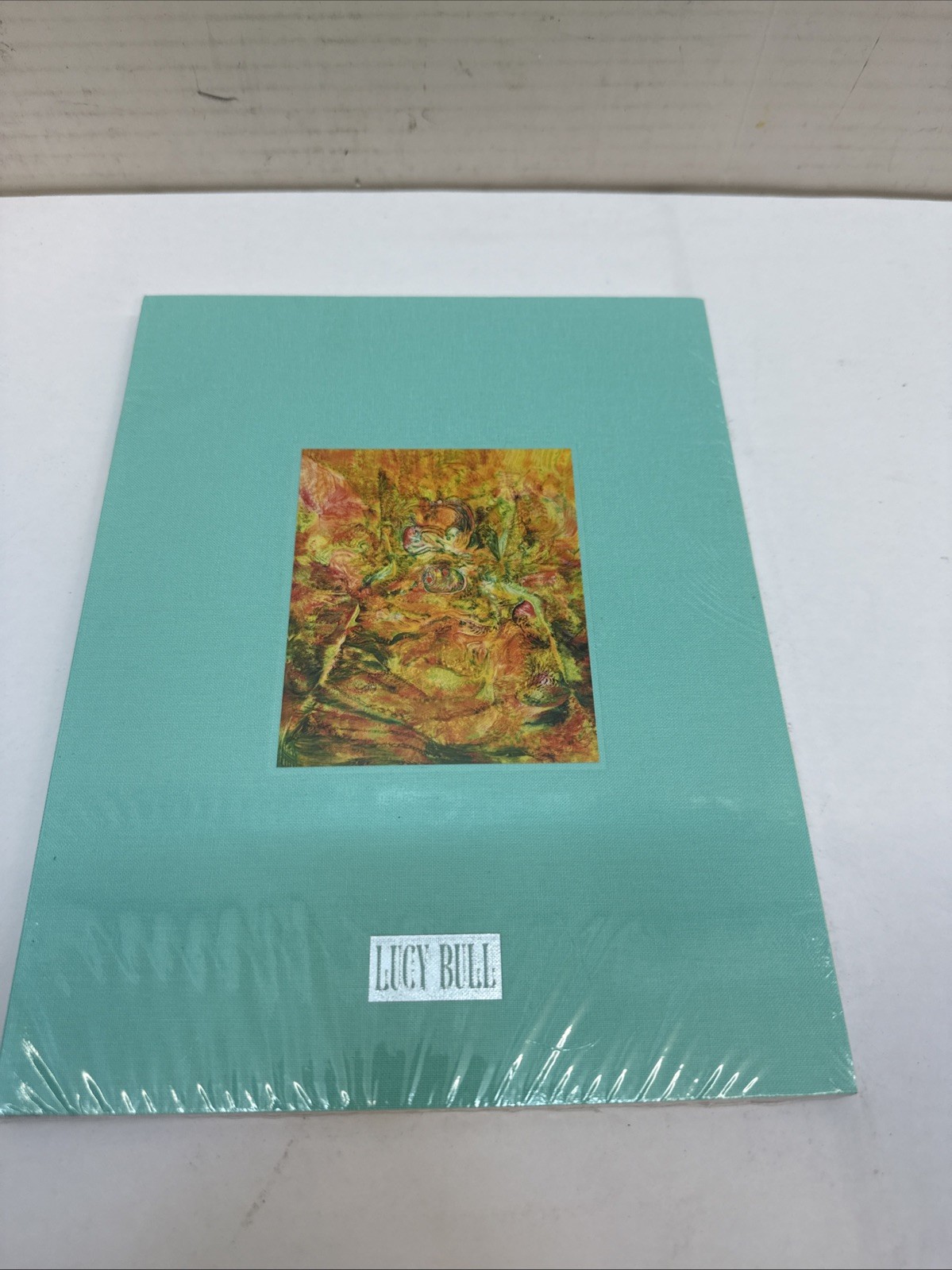 Lucy Bull: Selected Works 2019–2022 Book Gallery