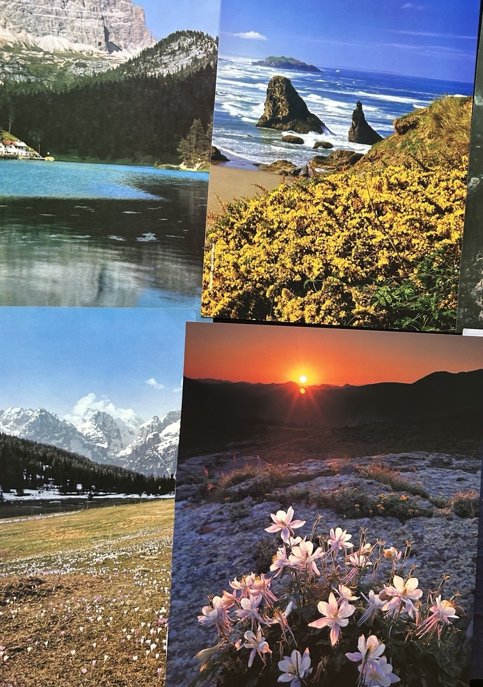 Collaging Book Pages Lot of 68 Pieces Collage Art Craft Landscapes Nature Mixed