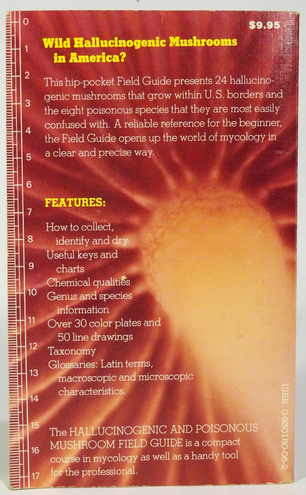 1984 MAGIC MUSHROOM HANDBOOK: Hallucinogenic & Poisonous Mushroom FIELD GUIDE