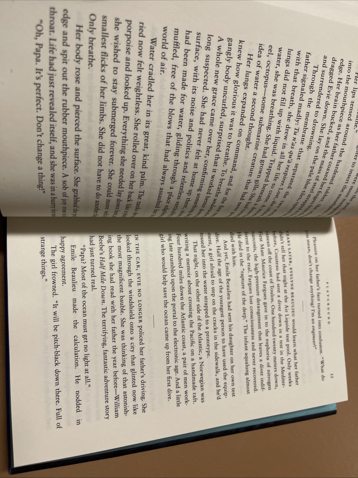 Playground Hardcover Richard Powers