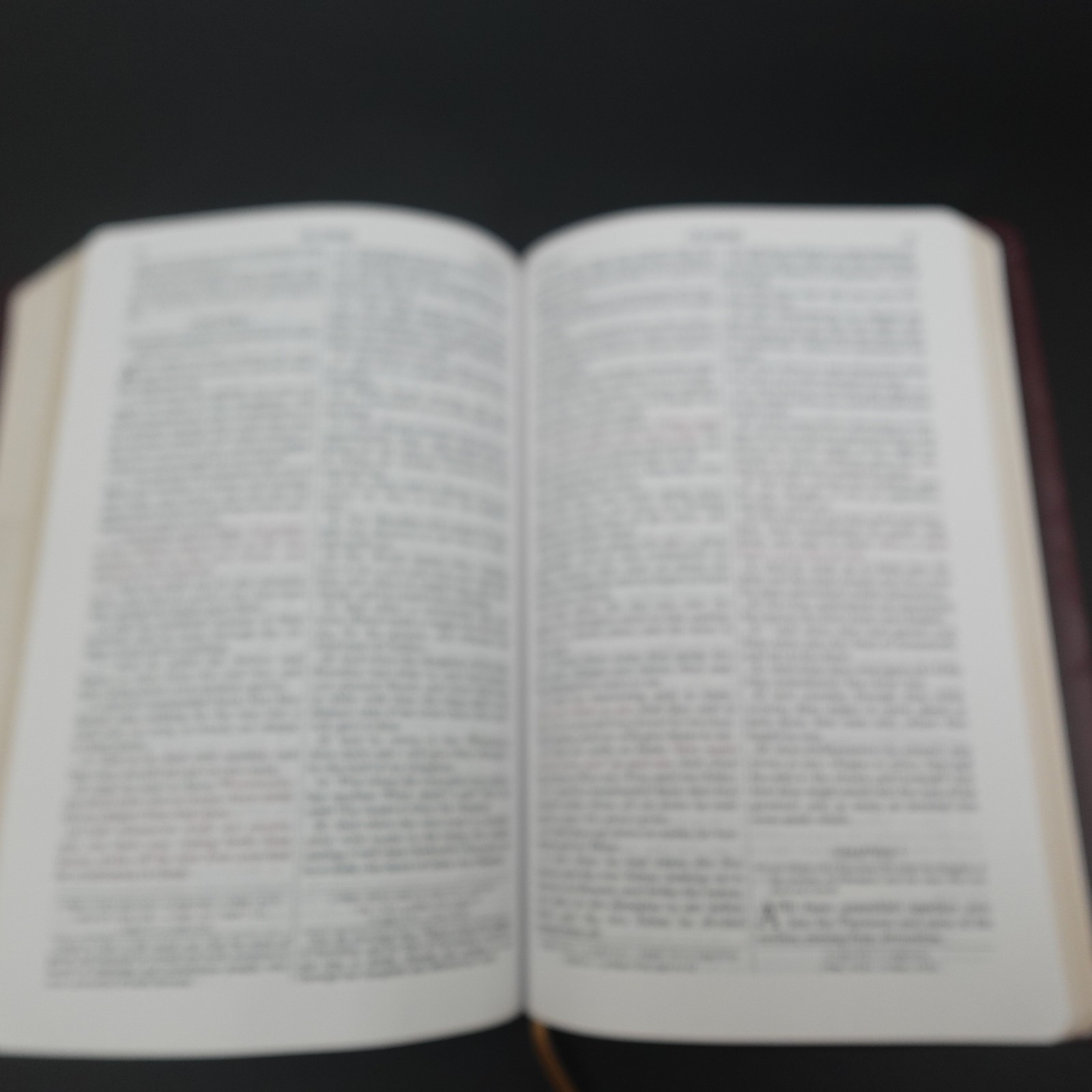 Douay Rheims Bible Burgundy Premium UltraSoft Catholic Bible St Benedict Press