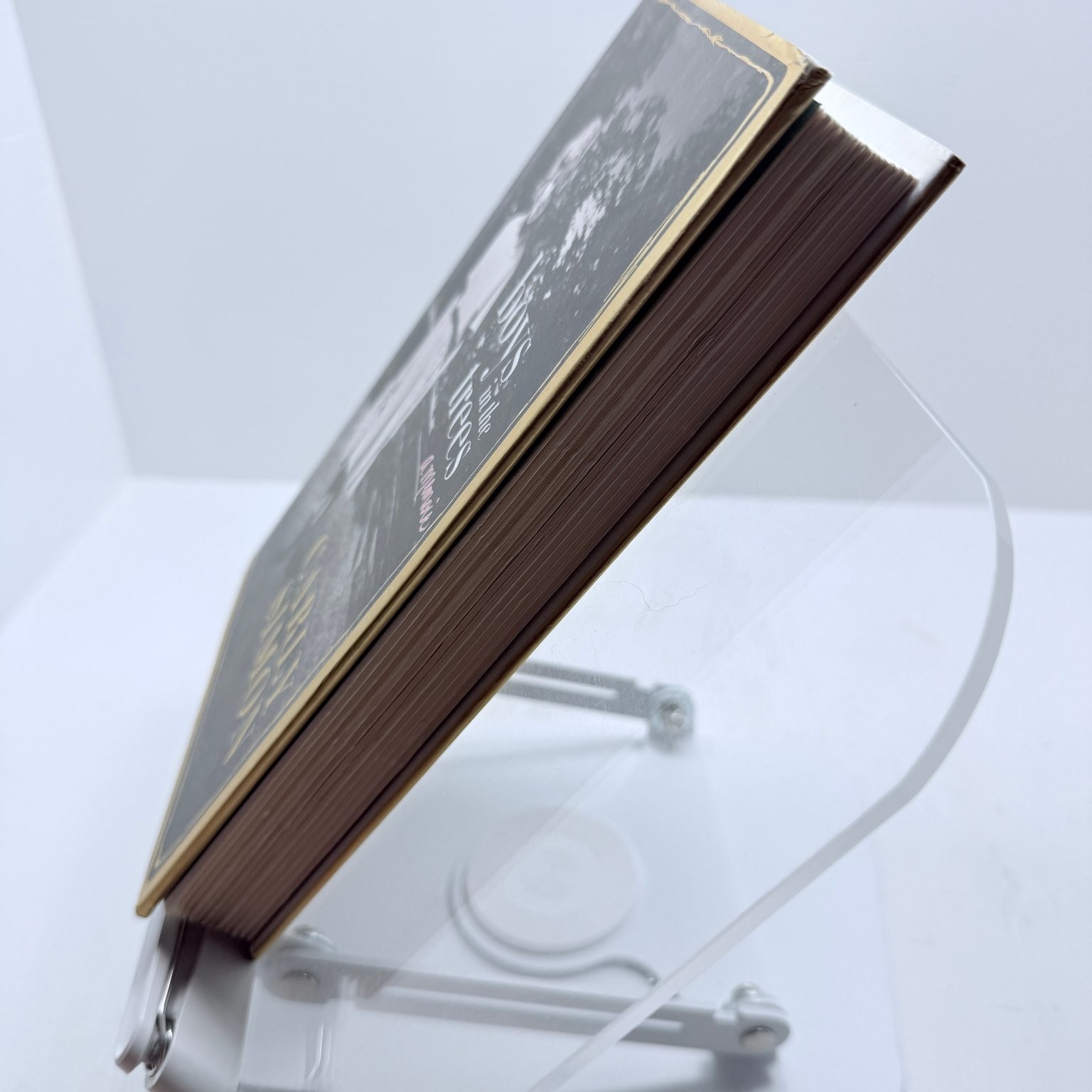 Boys in the Trees Carly Simon 2015 First Edition Memoir Flatiron Books